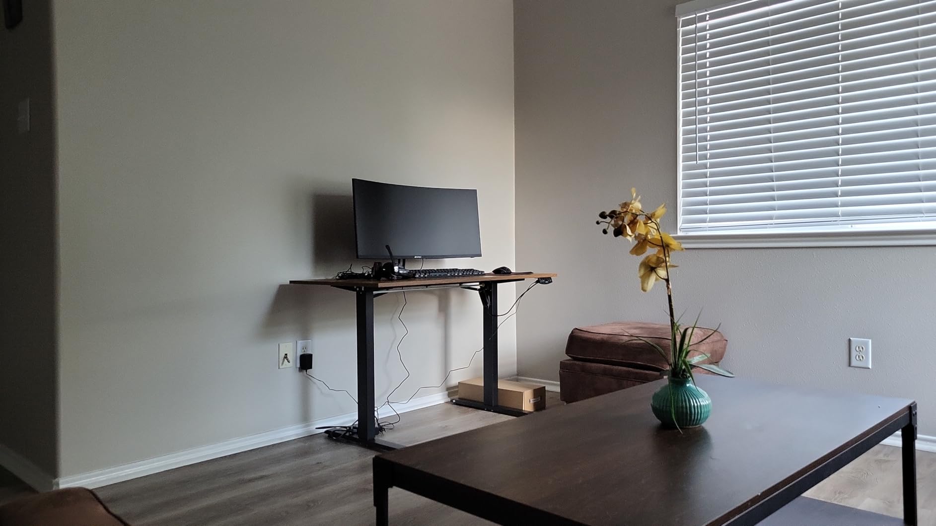 Agilestic 48*24 Inch Height Adjustable Electric Standing Desk, Rustic Brown customer photo 2