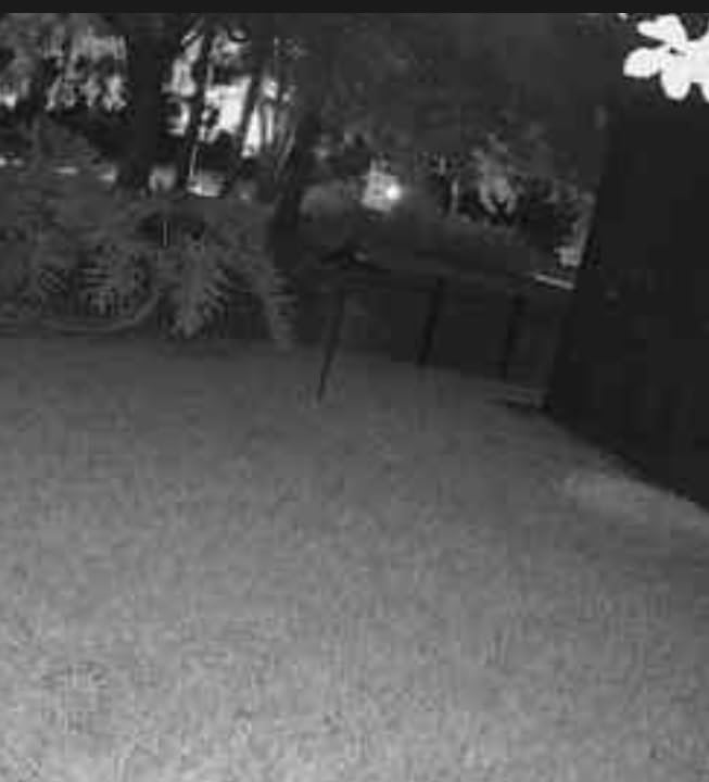 Birdhouse with Camera in It, 5MP HD 2.4G WiFi Birdhouse, Motion-Activated Auto Capture, Night Vision for Bluebirds & Wrens Nesting customer photo 2