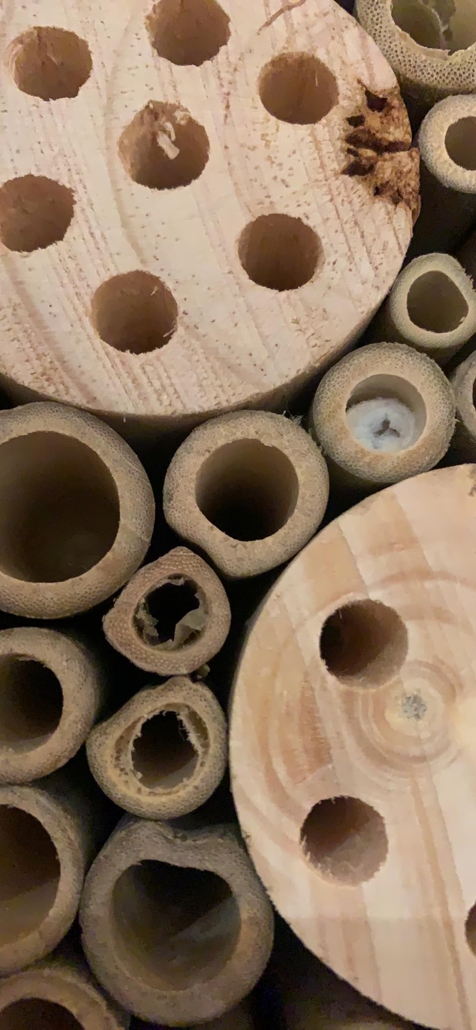 WildYard Bee House for Garden - Yellow with Nesting Tubes, Easy Mount customer photo 2