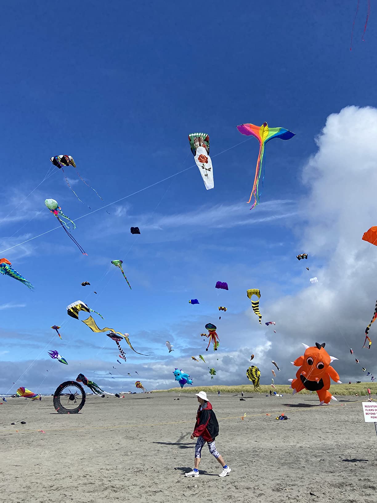 HENGDA KITE Rainbow Bird Phoenix Kite for Kids and Adults Easy to Fly customer photo 2
