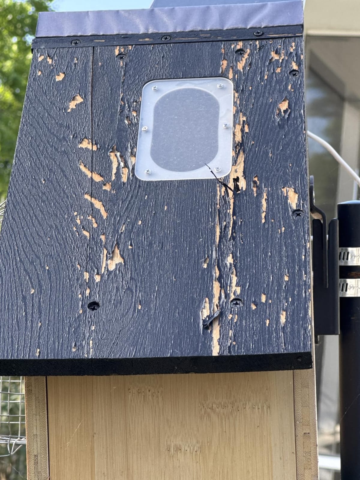 Birdkiss Smart Bird Houses for Outside Solar Powered, 1080P HD Live View Birdhouse with Camera, Perfect Viewing Bird Nesting and Hatching, Ideal Outdoors Bird House for Blue Bird and Cardinal (Black) customer photo 2