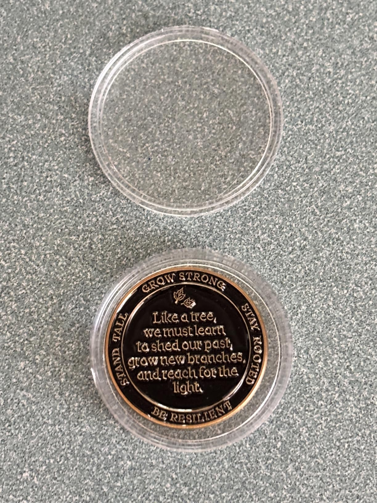 MilestoneMint Affirmation Sobriety Coin, Tree of Life Sober Gifts, AA | Coins and Medallions with Token Capsule, Stand & Cards 3D Texture, Recovery AA Chips Perfect Sobriety Gift for Men and Women customer photo 1