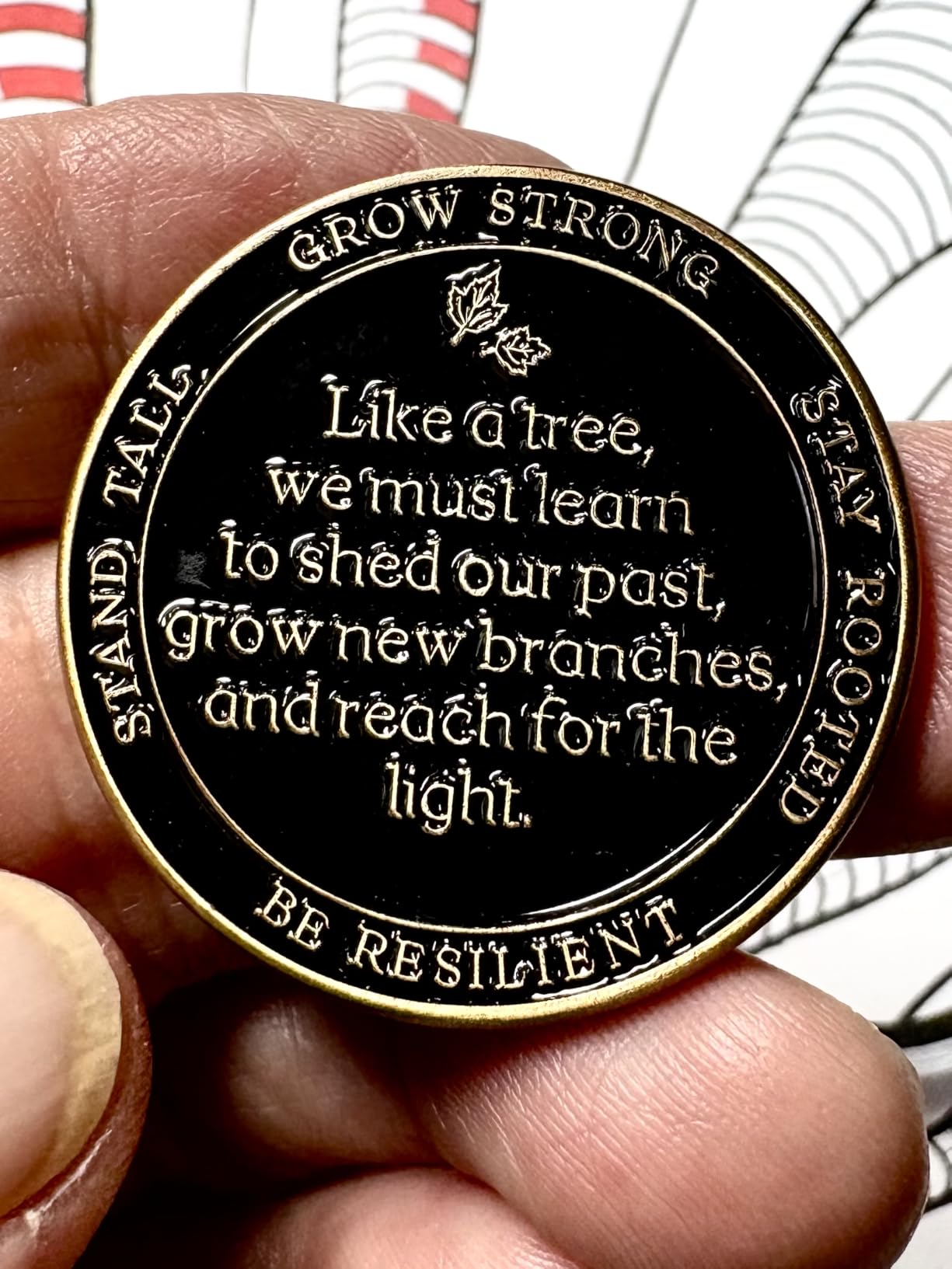 MilestoneMint Affirmation Sobriety Coin, Tree of Life Sober Gifts, AA | Coins and Medallions with Token Capsule, Stand & Cards 3D Texture, Recovery AA Chips Perfect Sobriety Gift for Men and Women customer photo 2