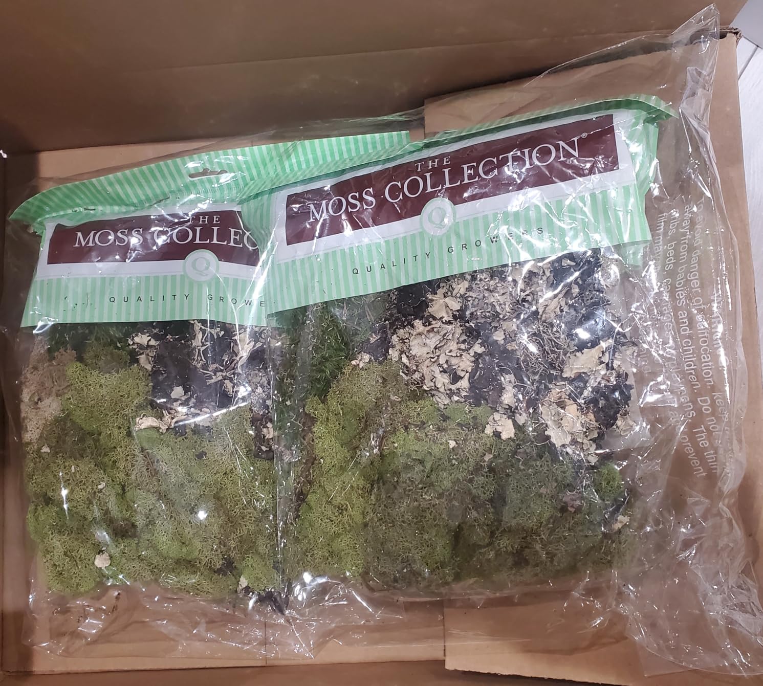 Variety Mix Moss, Preserved Moss, Original, Small 1-Pack | Preserved Moss for Crafts, Home Decor, Art, Design & DIY Projects, Non-Toxic, All Natural, Family Owned, USA Made customer photo 1