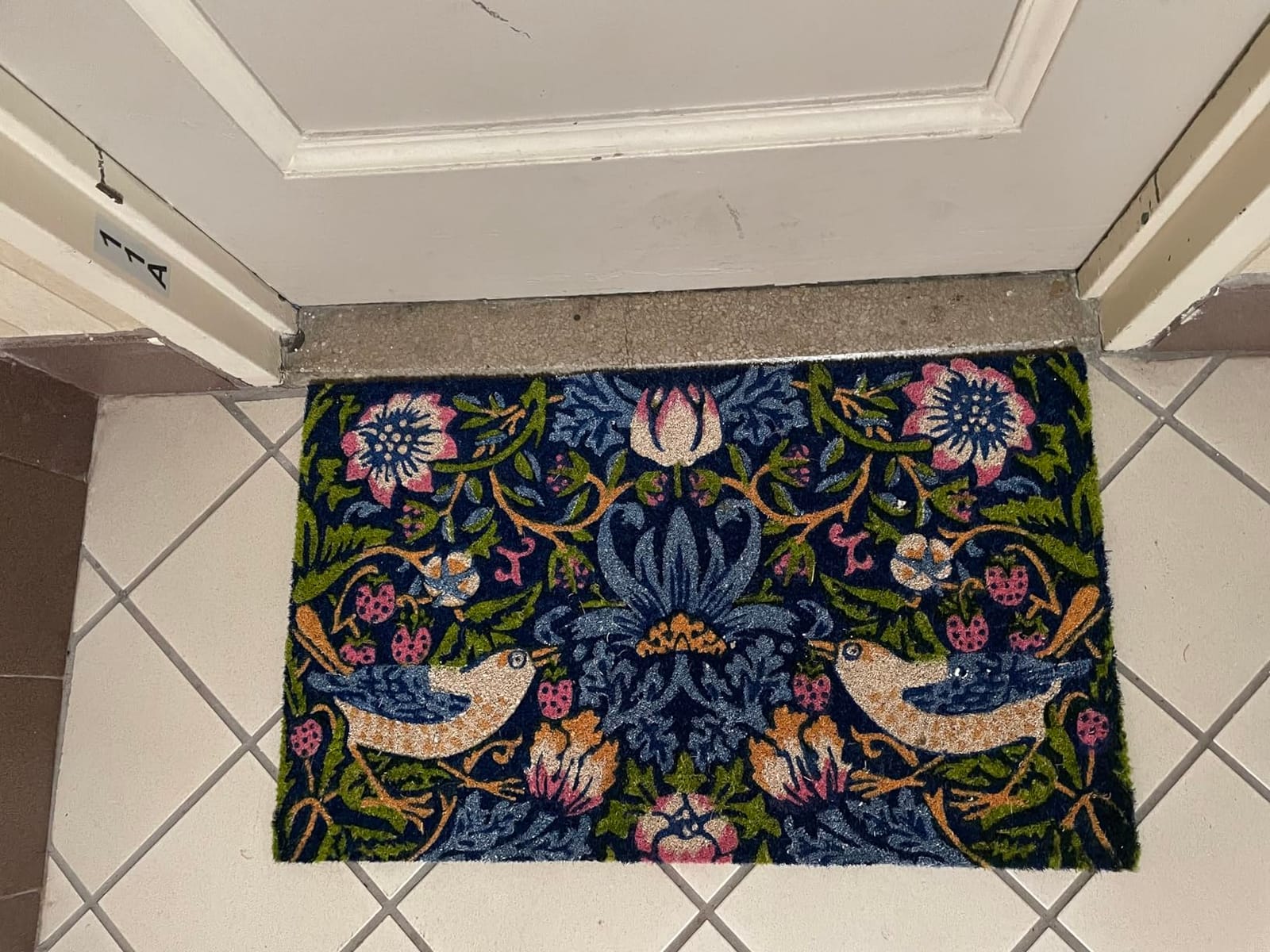 Entryways Victoria and Albert Museum Coir Doormat - Dance of The Dragonflies, 24