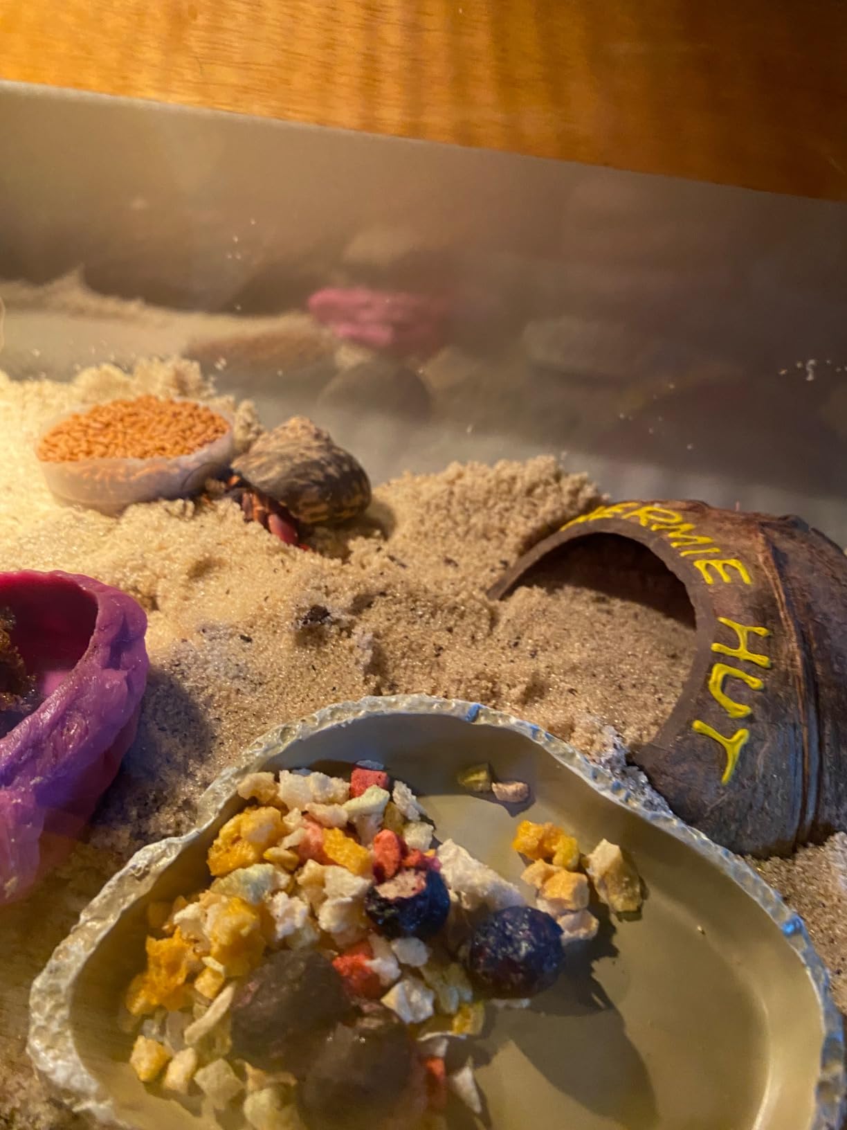 16x10x8' Reptile Terrarium Kit with Heat Lamp & Hideout for Geckos, Snakes | Complete kit includes spray bottle, shovel, tweezers, food bowl, hideout; ideal for lizards, turtles, spiders, frogs, crabs customer photo 1