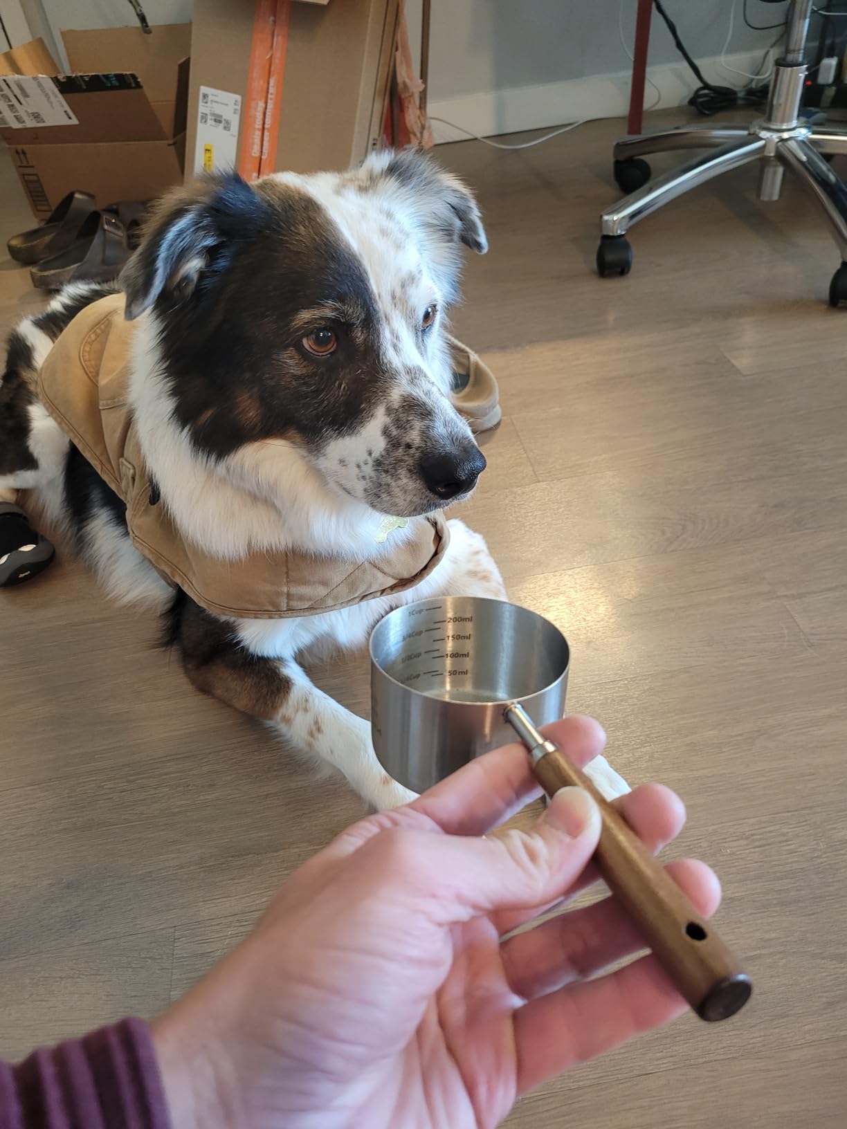 Dog-Cat Food-Scoop Measuring-Cup - 304 stainless steel material.1-Cup capacity. Precision scale measurements customer photo 2