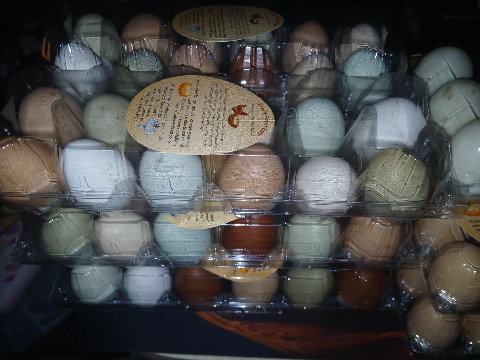 SINLUCESCE 60 Packs Egg Cartons Cheap Bulk, Plastic for 12 Eggs, Clear Egg Cartons 2 x 6 Grids, Perfect for Refrigerator Family Farm Commercial Business Market Display customer photo 1