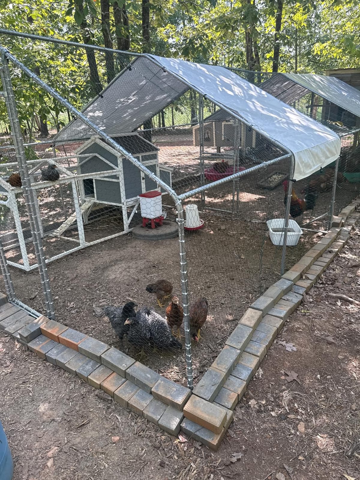 Outvita 6.5 x 6.5 FT Metal Chicken Coop Walk-in Poultry Run Pen customer photo 2