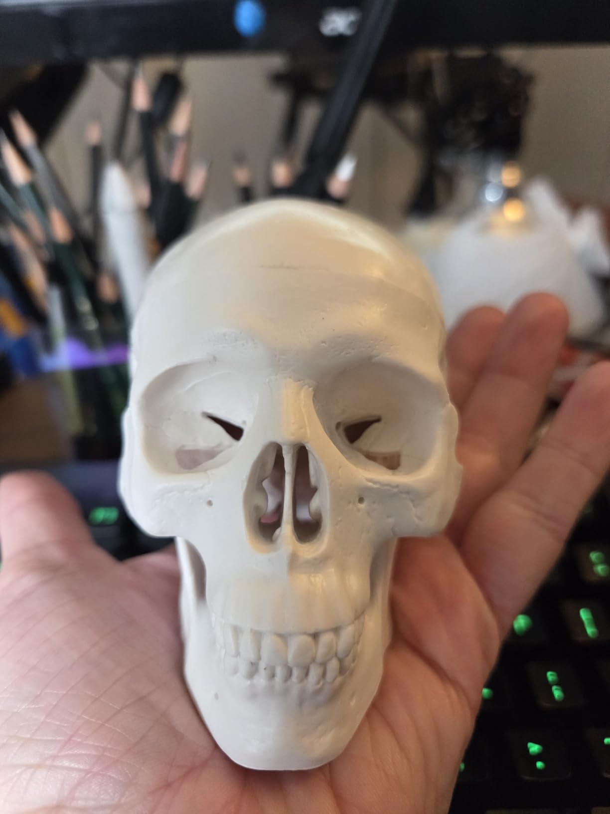 Mini Skull Anatomy Model for Studying - Human Skull Model, Small Plastic Head Bones for Artists Drawing - QREBYQ Anatomy Skull Model customer photo 1