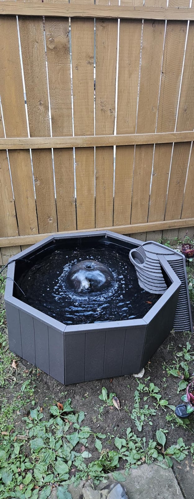 Aquagarden No Dig Nature Pool, Complete Water Feature Kit, Attract Birds and Wildlife to Your Yard, Includes Pond Structure, Liner, Fountain Pump, Nature Ladder, Planting Pocket customer photo 2