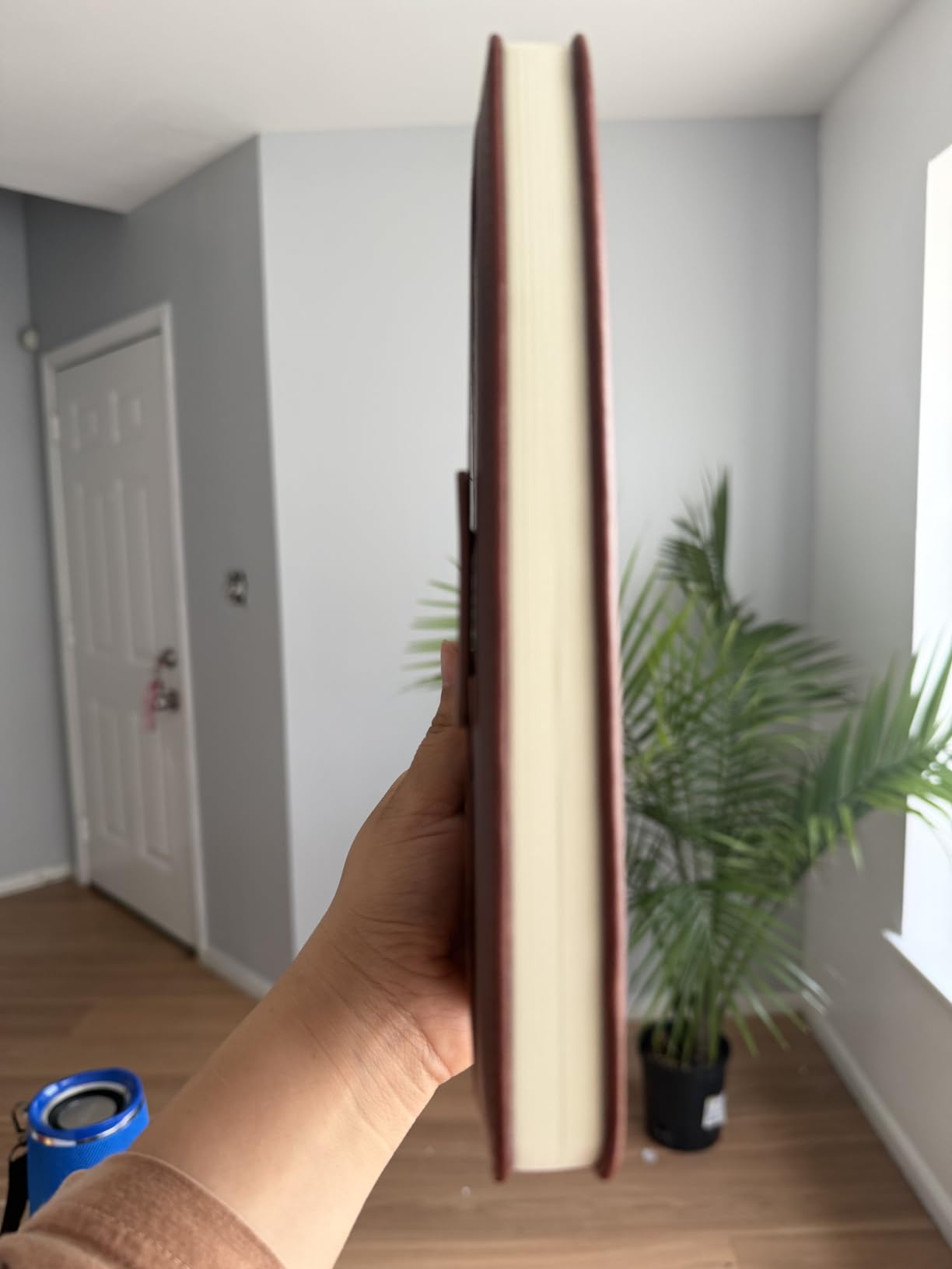 Biuwory Leather Journal Notebook, 256 Thick Lined Pages, Hardcover 8.6