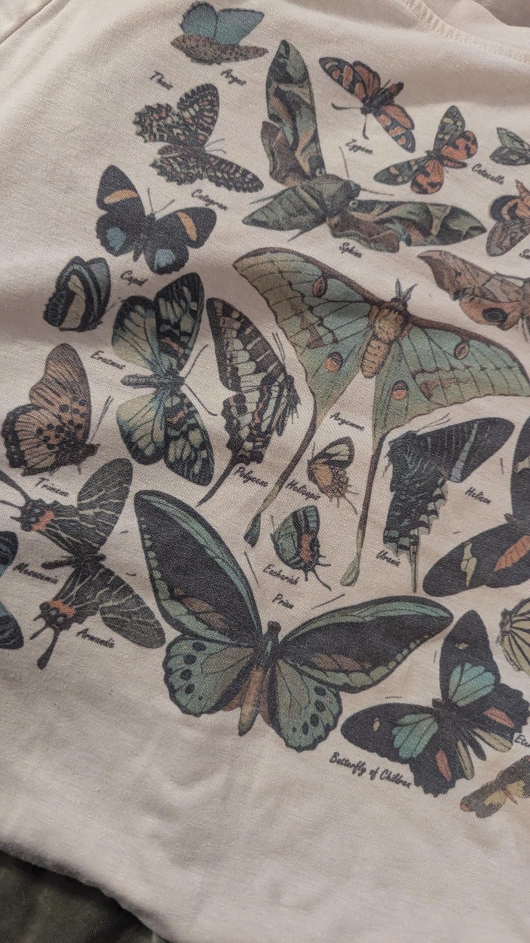 Vintage Butterfly and Moth T-Shirt for Women Casual Aesthetic Nature Short Sleeve Shirt Funny Animal Graphic Tees customer photo 1