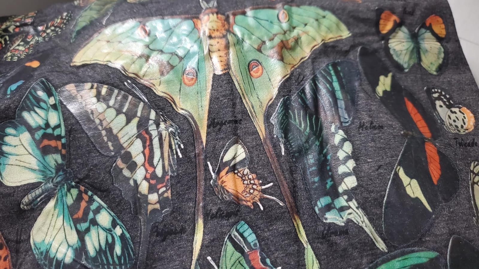 Vintage Butterfly and Moth T-Shirt for Women Casual Aesthetic Nature Short Sleeve Shirt Funny Animal Graphic Tees customer photo 2