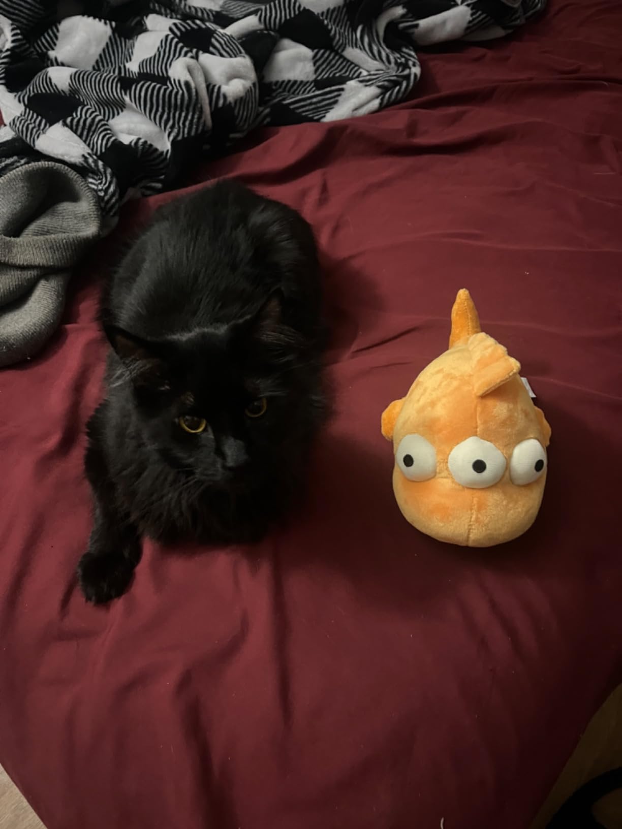 The Simpsons - Blinky The Three Eyed Fish Plush customer photo 1