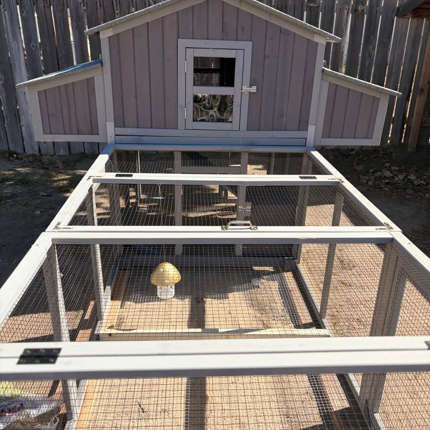 Aivituvin Chicken Coop Double Folding Fir Wood Chicken House with Large Nesting Box Poultry Cage Upgrade with Strong Iron Frame, Durable & Waterproof for 4-6 Hens Duck Coop customer photo 2