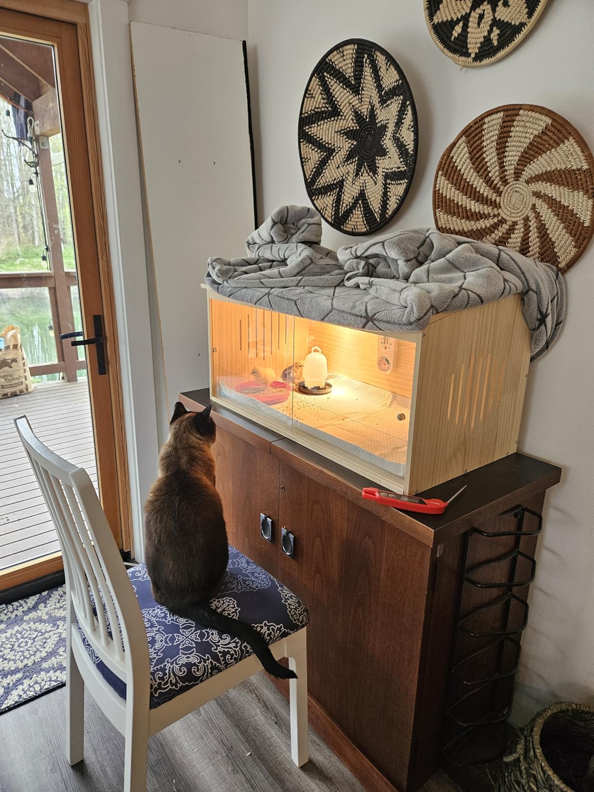 Large Wooden Chicken Brooder Box with Bulb Set and Thermometer - Brooder Box for Chicks Indoor Accommodates Up to 12 Chicks - Ideal for Chickens, Ducks, Quails, Hamsters, and Lizards(32x16x16 Inches) customer photo 1