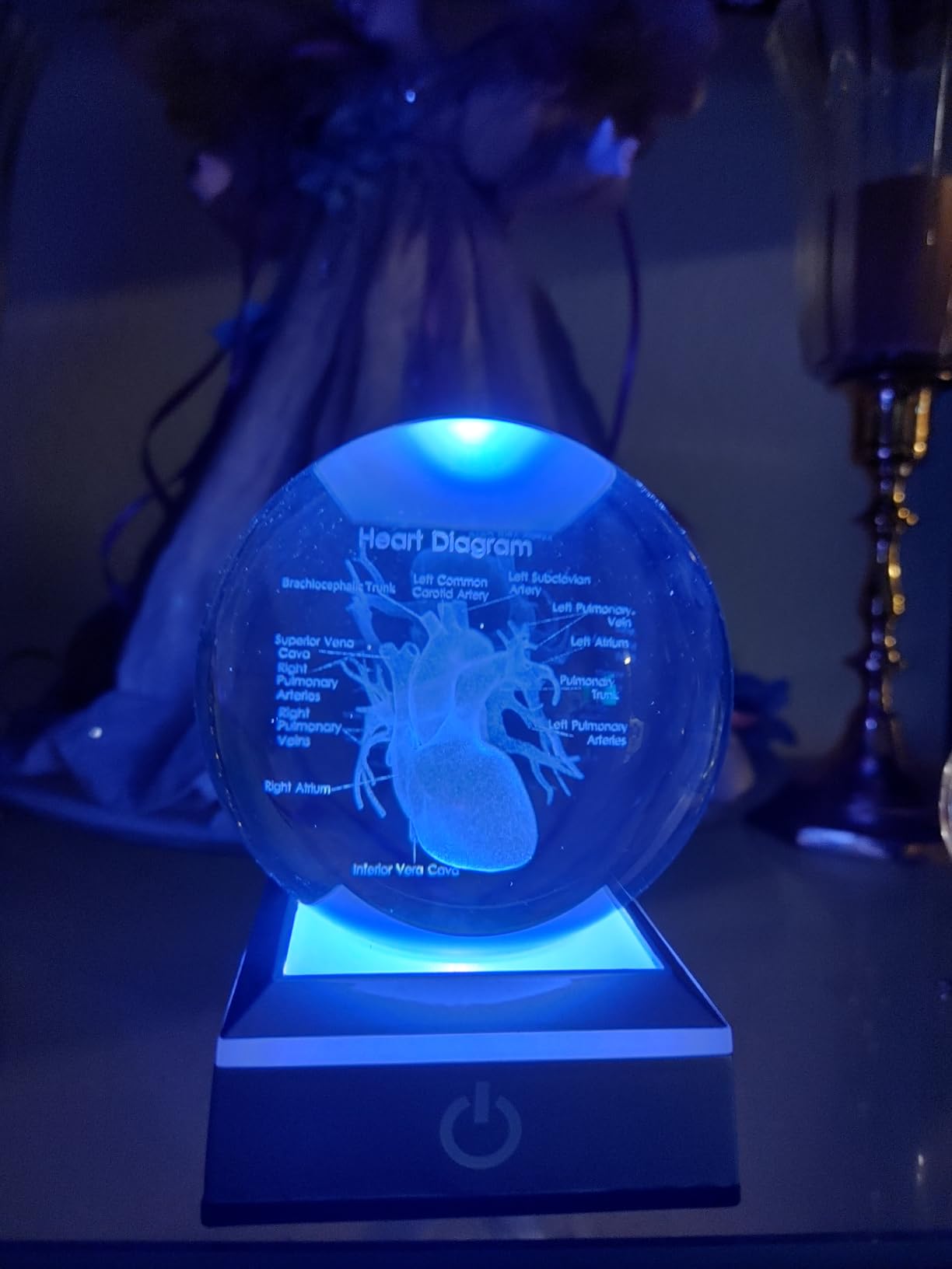 3D Human Heart Crystal Ball Cardiologist Decor Gifts, 3.15'' LED Light Base | Gifts for Cardiologist, Science, Biology, Medial Decor, Graduate Student, 3D Laser Etched Glass Anatomical Heart Figurine customer photo 1