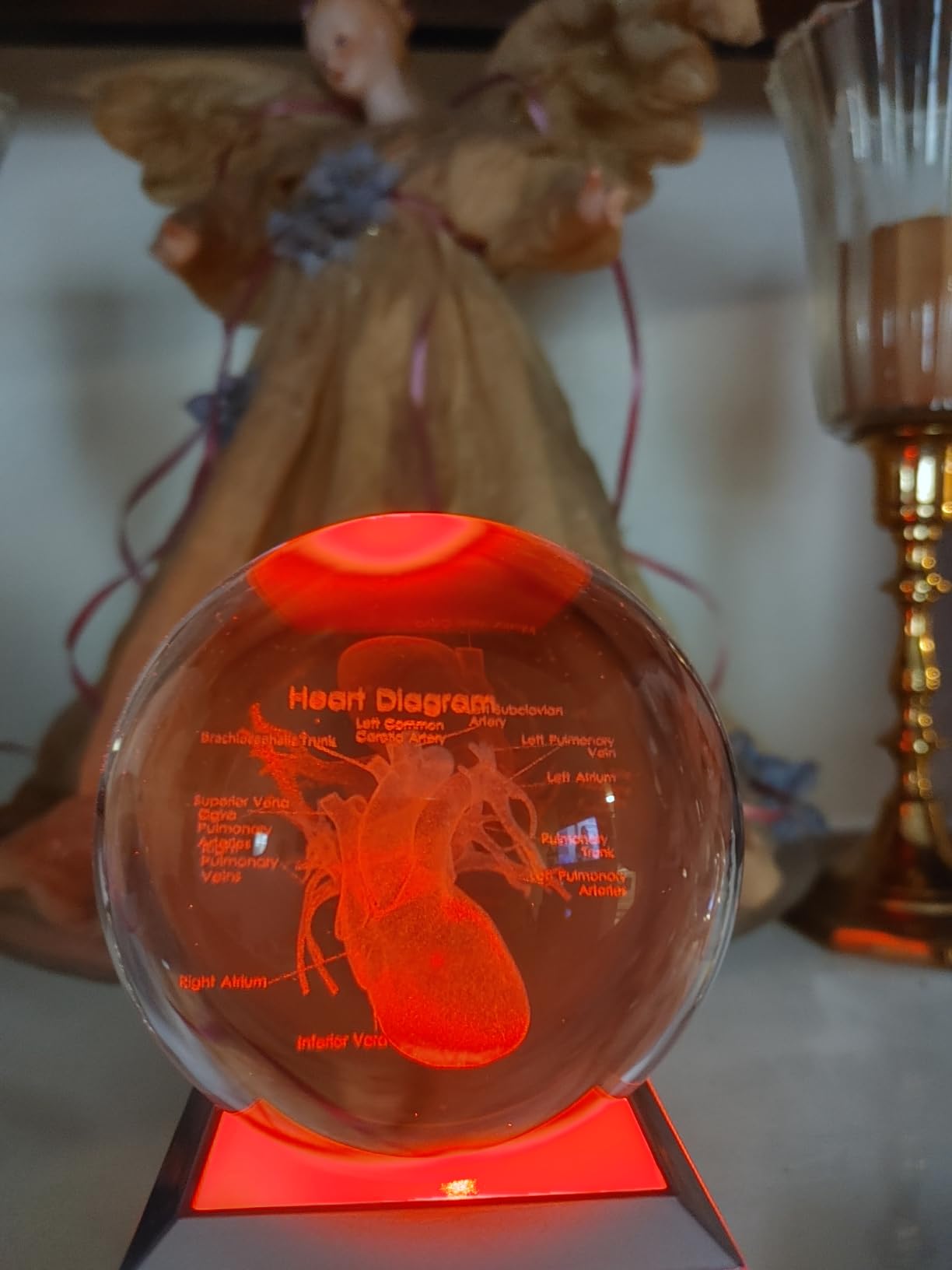3D Human Heart Crystal Ball Cardiologist Decor Gifts, 3.15'' LED Light Base | Gifts for Cardiologist, Science, Biology, Medial Decor, Graduate Student, 3D Laser Etched Glass Anatomical Heart Figurine customer photo 2