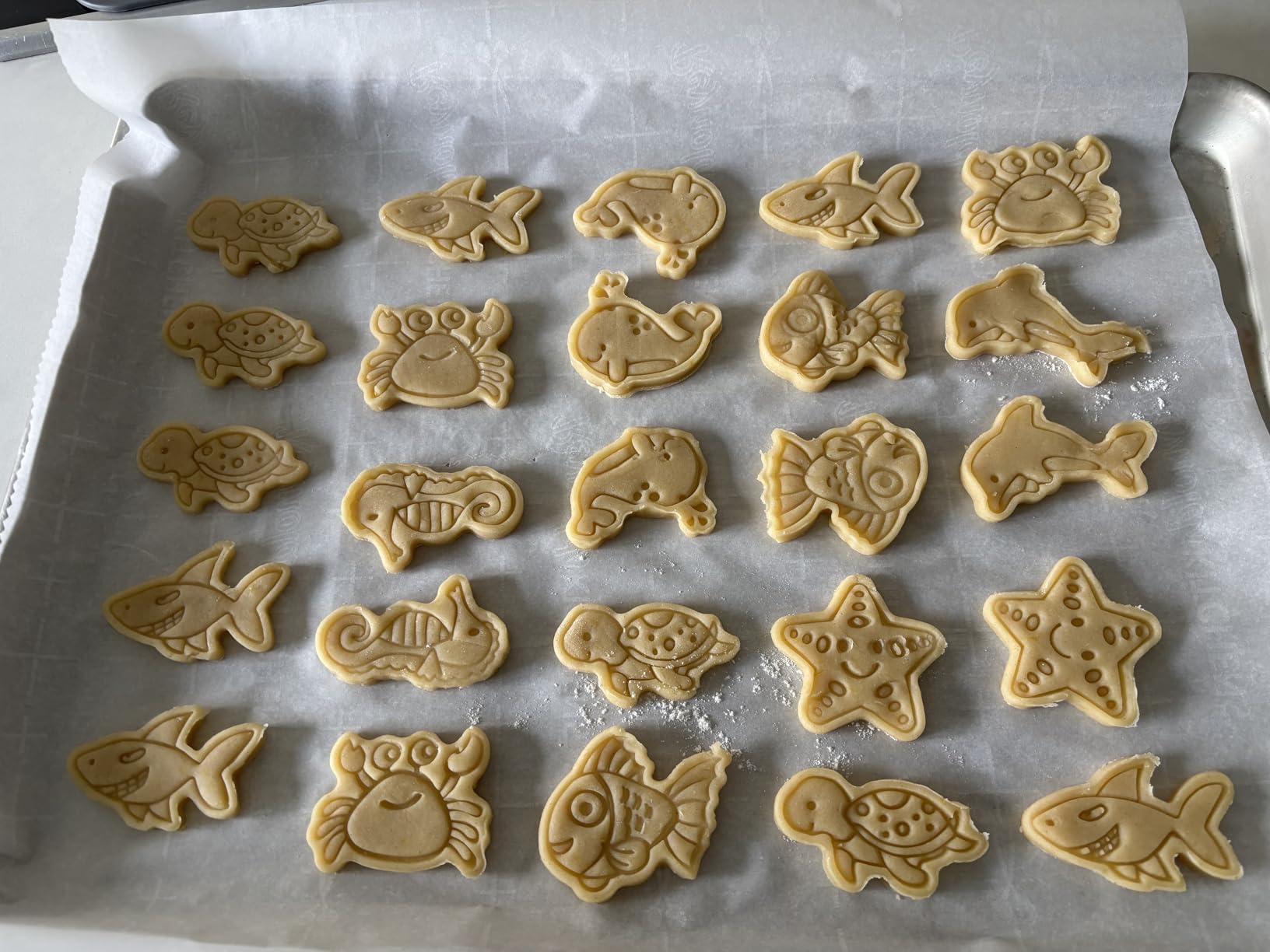 8 Mini Ocean Animal Cookie Cutters Set, 3D Raised Design Animal Embossing Stamps, Goldfish, Whale, Crab, Dolphin, Starfish, Shark, Turtle, Seahorse, Baking Molds customer photo 2