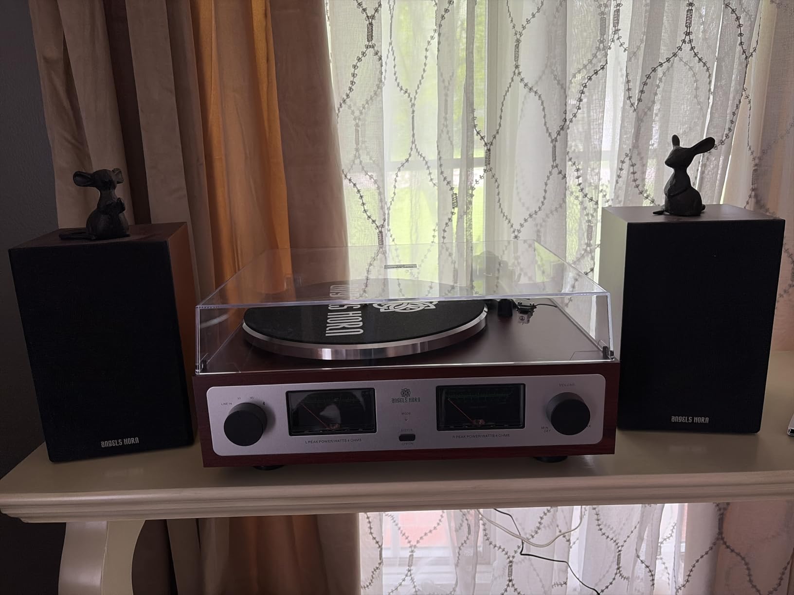 ANGELS HORN Vinyl Record Player with Speakers, Bluetooth Hi-Fi Turntable customer photo 2