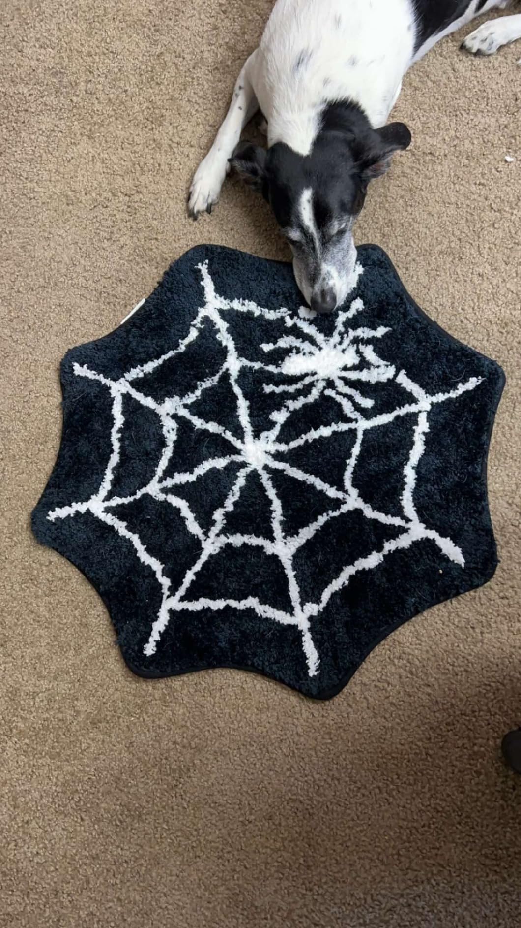 JarThenaAMCS Halloween Bathroom Rug Absorbent Black White Spider Web Bath Mat Washable Non Slip Gothic Shower Rug Front Door Mat Carpet for Home Room Entrance Floor Decor, 25.6 customer photo 1