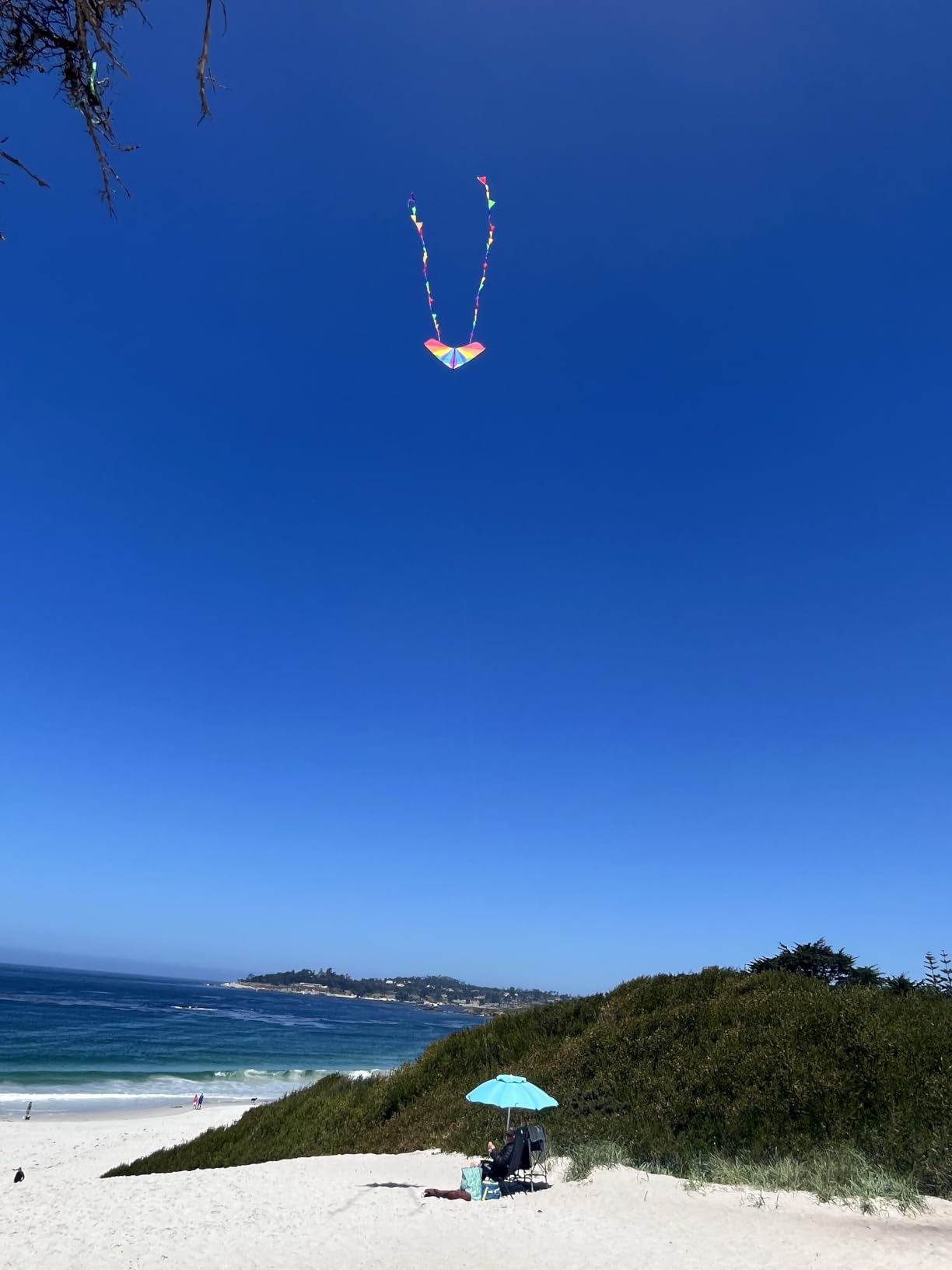 HONBO Large Delta Kite for Kids & Adults, Extremely Easy to Fly Kite for Beach Trip, String Line Included, with Colorful Tail, Perfect for Beginners customer photo 1