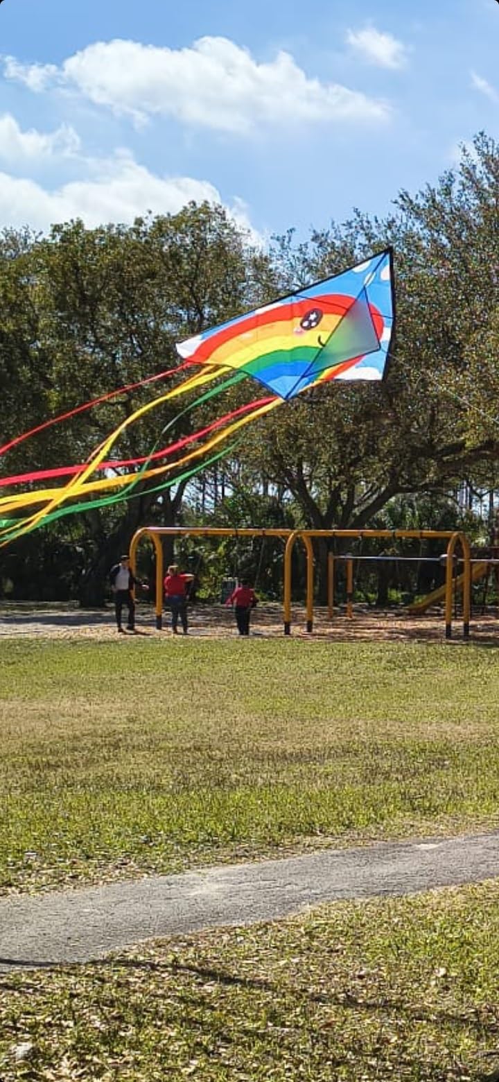 HONBO Large Delta Kite for Kids & Adults, Extremely Easy to Fly Kite for Beach Trip, String Line Included, with Colorful Tail, Perfect for Beginners customer photo 2