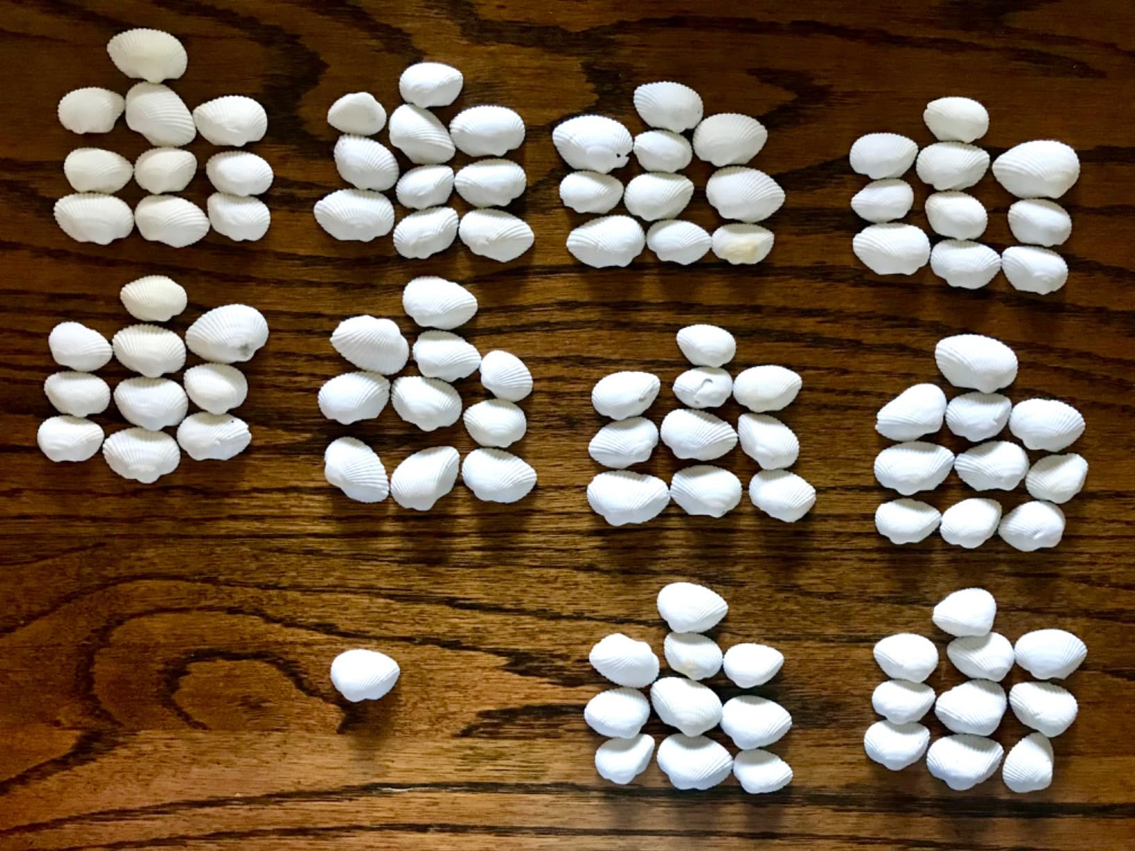 MAQIHAN Natural White Seashells for Crafts - Small Clam Shells 0.8-1.2 in customer photo 1