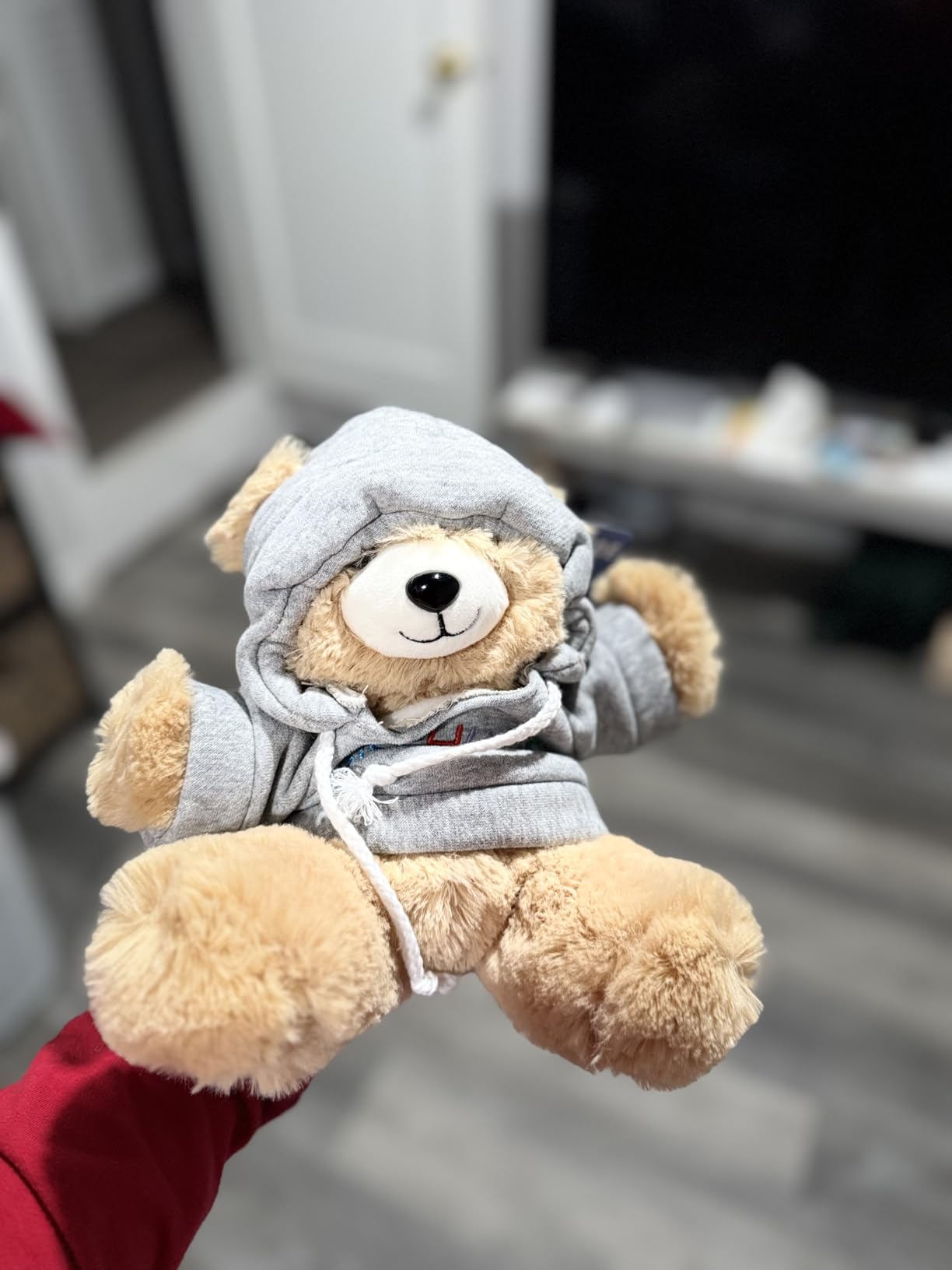 Osacoe “I’m The Big Sister” Teddy Bear Stuffed Animal with Gift Box Removable Pink Hoodie Bracelet, Big Sister Gifts for Girls Who Promoted to Big Sister with Beautiful Greeting Card customer photo 1