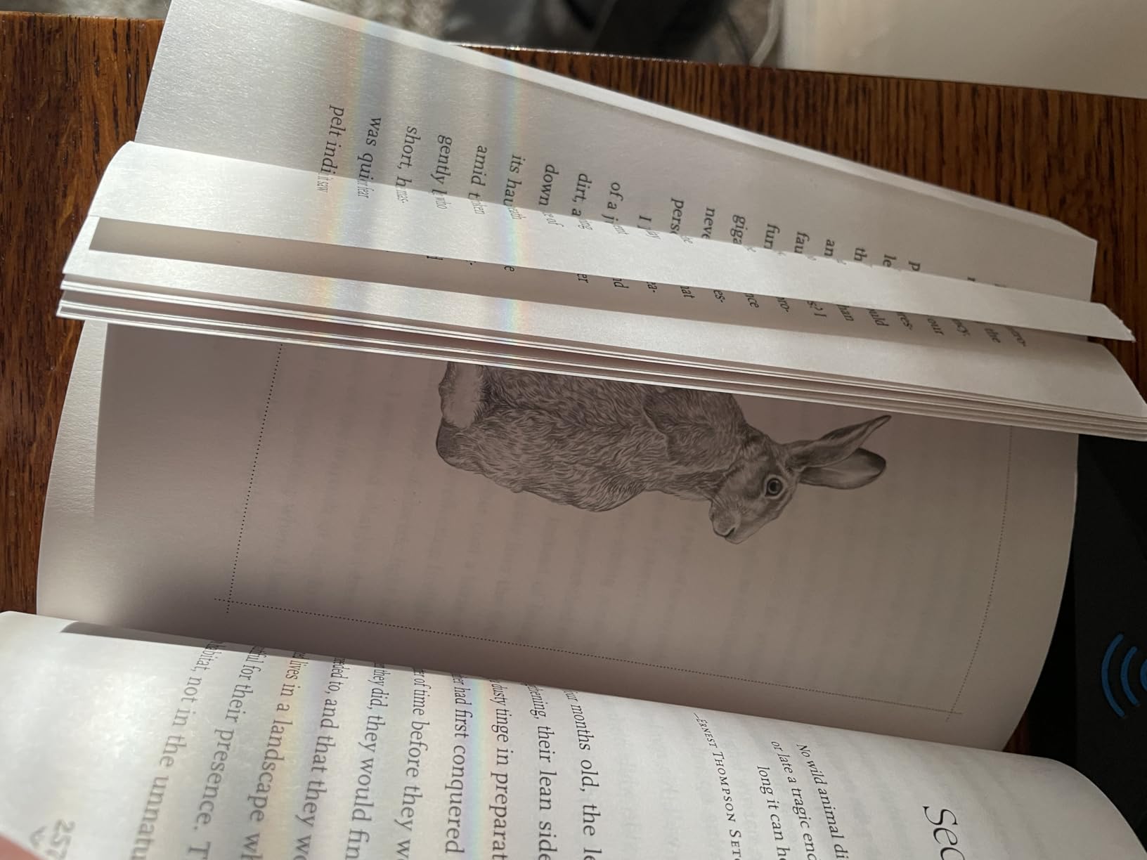 Raising Hare: A Memoir customer photo 1