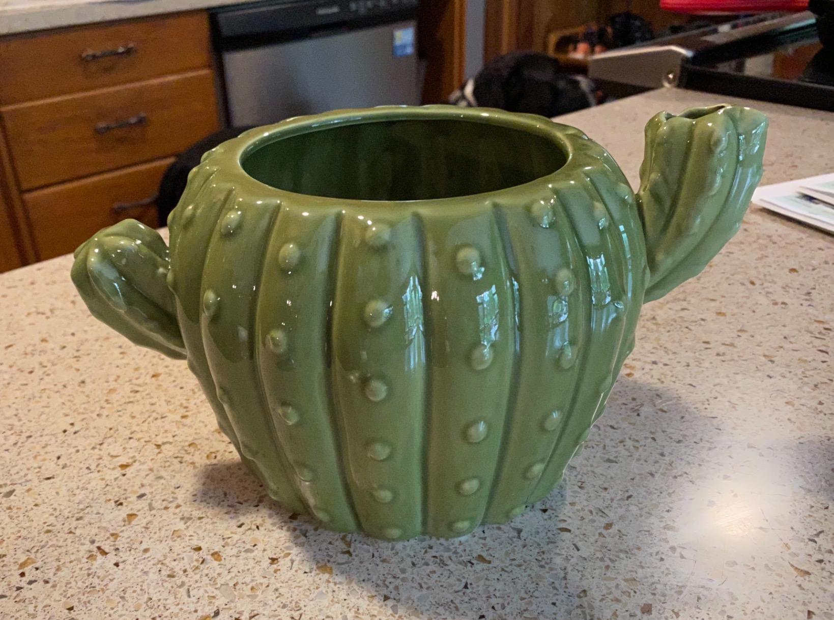 Streamline Imagined Cute Squirrel Planter Pot | Indoor & Outdoor Planter | customer photo 1