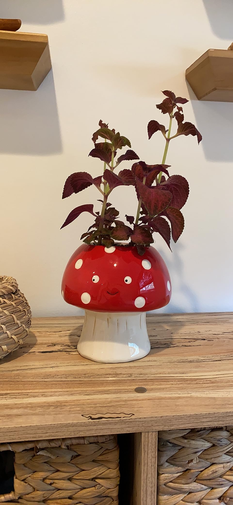 Streamline Imagined Cute Squirrel Planter Pot | Indoor & Outdoor Planter | customer photo 2