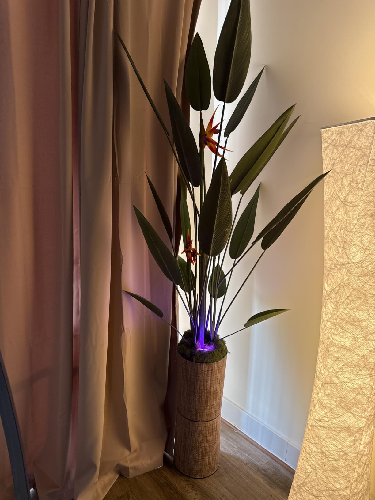 Jocoevol Artificial Bird of Paradise Plant 48in(4Ft) Tall Fake Banana Leaf Plant for Indoors and Outdoors, Artificial Flowers, Faux Palm Tree with Plastic Pot for Office and Home Decor customer photo 1