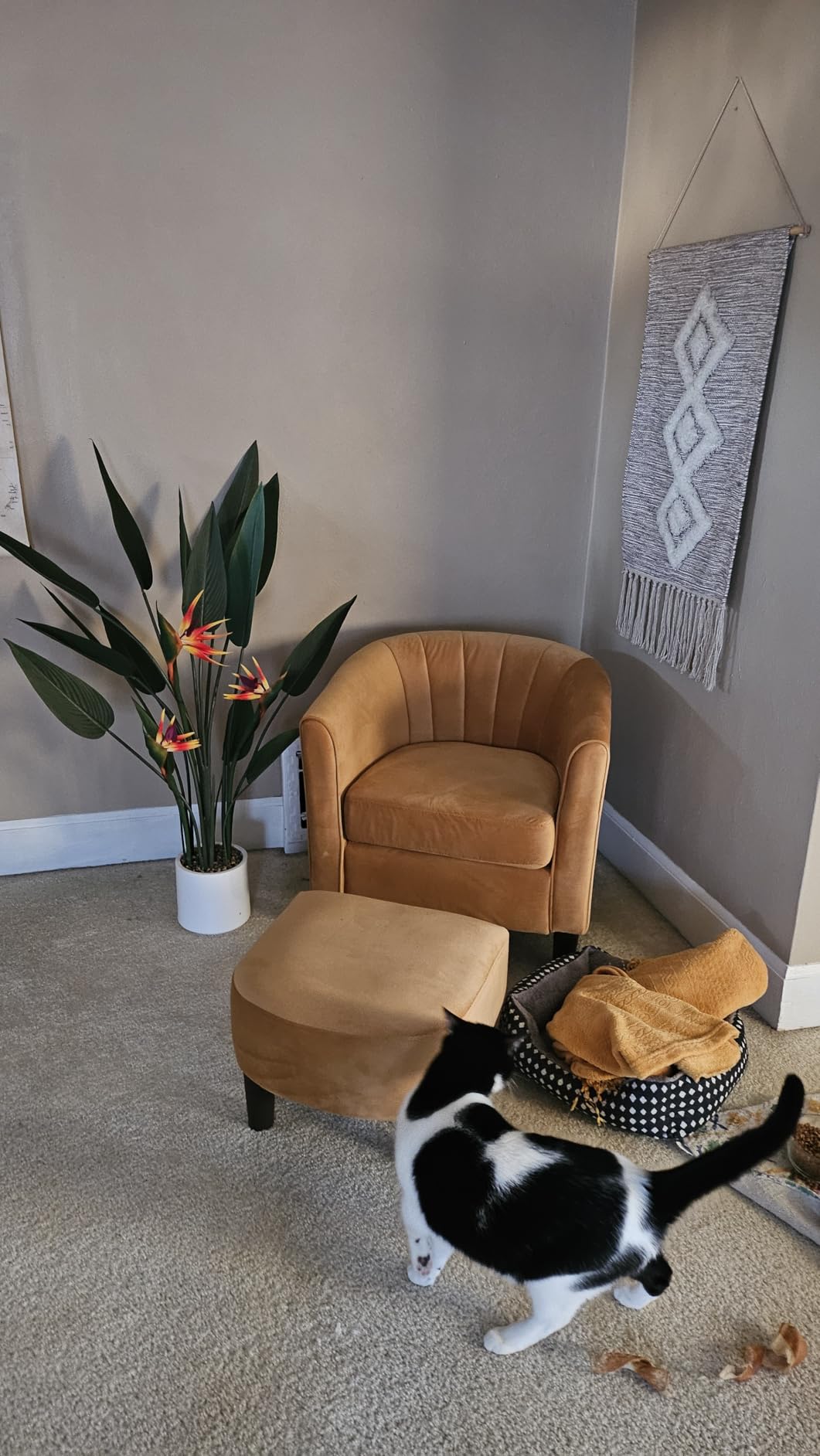 Jocoevol Artificial Bird of Paradise Plant 48in(4Ft) Tall Fake Banana Leaf Plant for Indoors and Outdoors, Artificial Flowers, Faux Palm Tree with Plastic Pot for Office and Home Decor customer photo 2