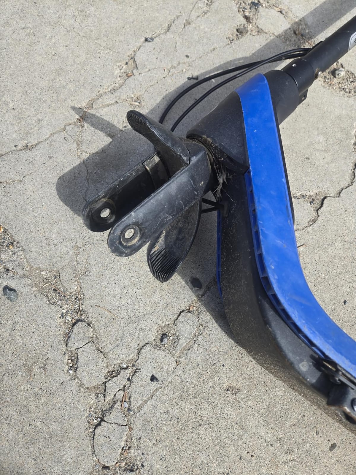 Segway Ninebot C2 Lite Electric Scooter for Kids, Ages 6–10 customer photo 1