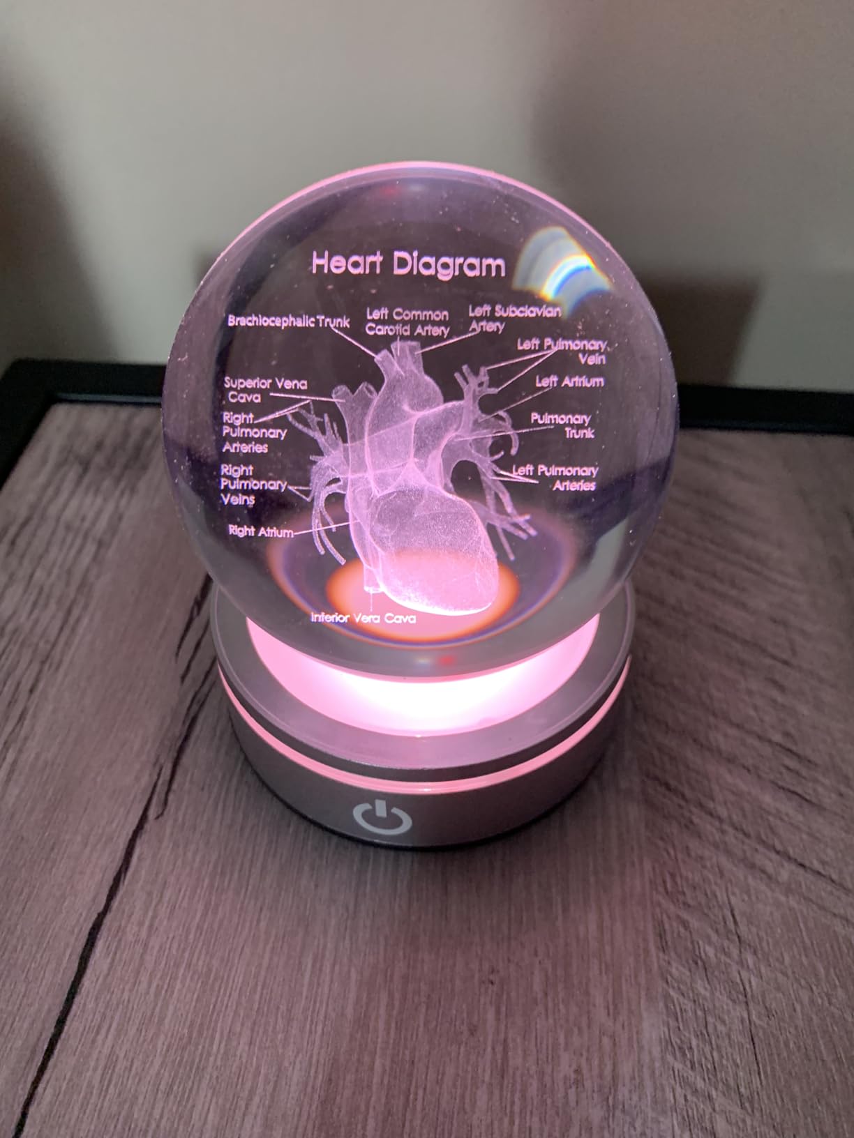 3D Heart Model Crystal Ball Doctors Gift, Cardiologist Gift for Men and Women with Colorful LED Base, Medical Statue for Psychology Graduation, Christmas Heart Anatomy Art Decor customer photo 2