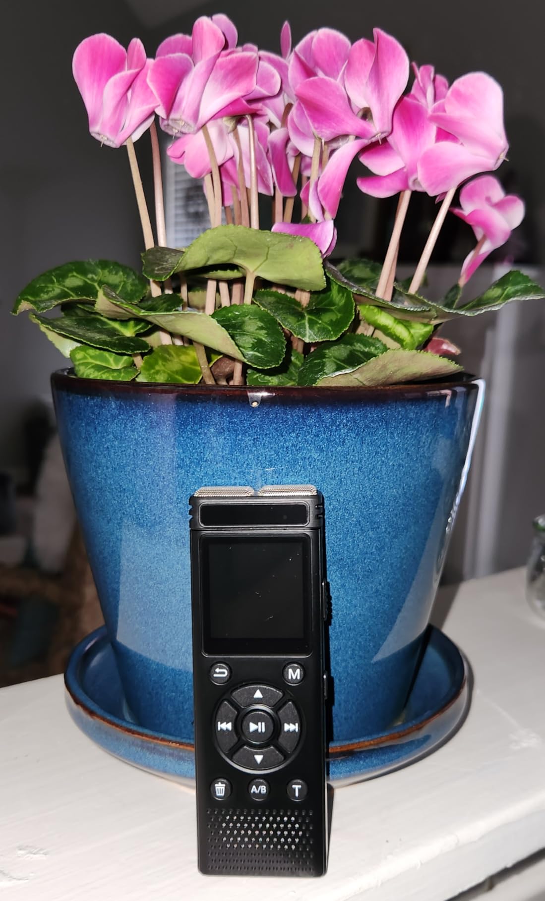 Tonfarb 136GB Digital Voice Recorder with Playback, 9775 Hours Audio Recorder with Noise Reduction customer photo 2