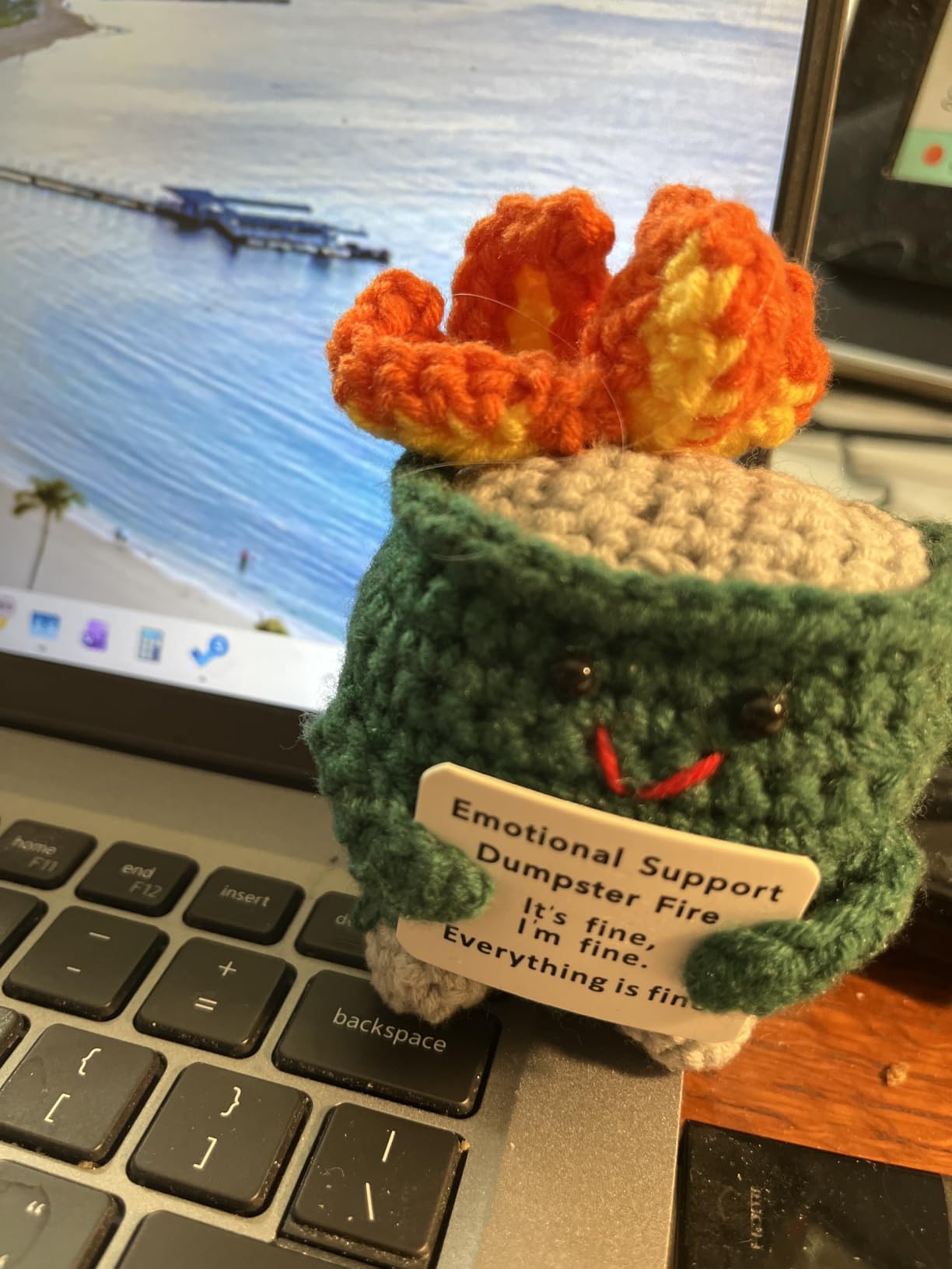 RovyFota Emotional Support Crochet Dumpster Fire with Positive Card Cute Room Decor Knitted Toys Funny Crochet Support Buddies Gifts for Friends (Green) customer photo 2