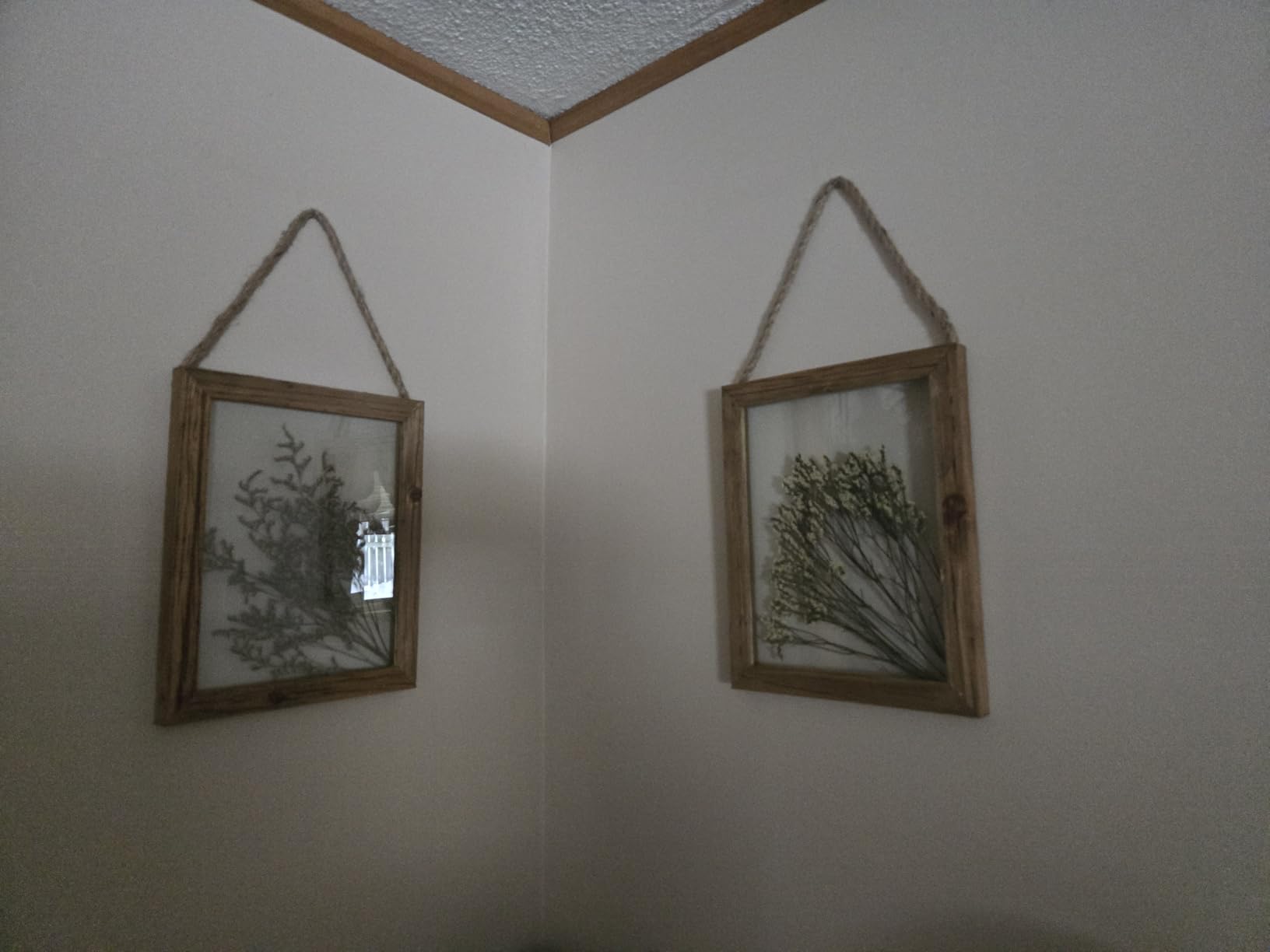 NIKKY HOME Dried Flowers Grass Wall Art Set of 2 Natural Plant Artwork with Clear Glass Display Frame and Jute Rope Gallery Wall Decor Living Room Decor customer photo 1