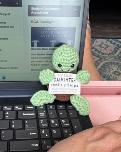 4THFARMES Mini Funny Turtle Best Friend Friendship Gifts for Women Men - Handmade Emotional Positive Crochet Turtle customer photo 2