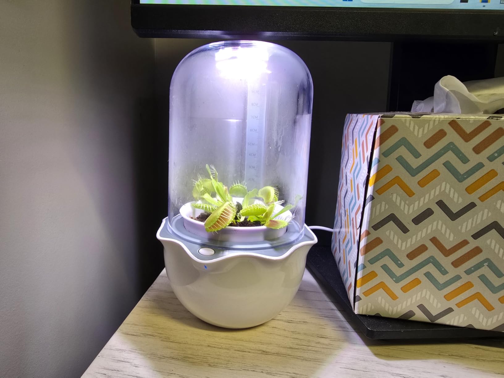 Venus Fly Trap Pot Terrarium with Timer Grow Light & Fan, Plant Terrarium Kit customer photo 1