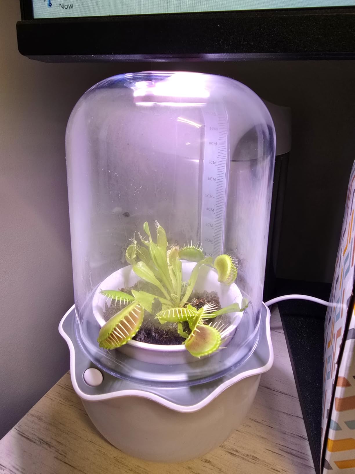 Venus Fly Trap Pot Terrarium with Timer Grow Light & Fan, Plant Terrarium Kit customer photo 2