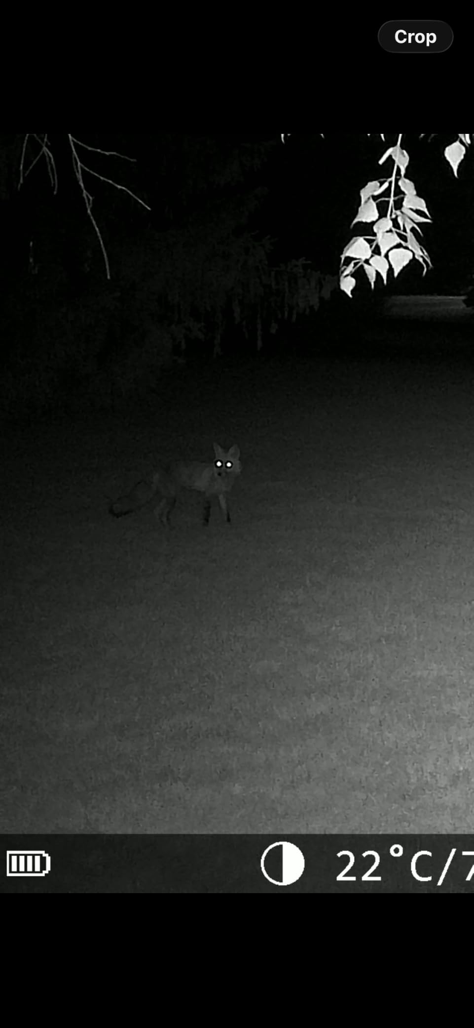 MAXDONE Solar Trail Camera WiFi Bluetooth, 4K 64MP Night Vision Game Camera customer photo 1