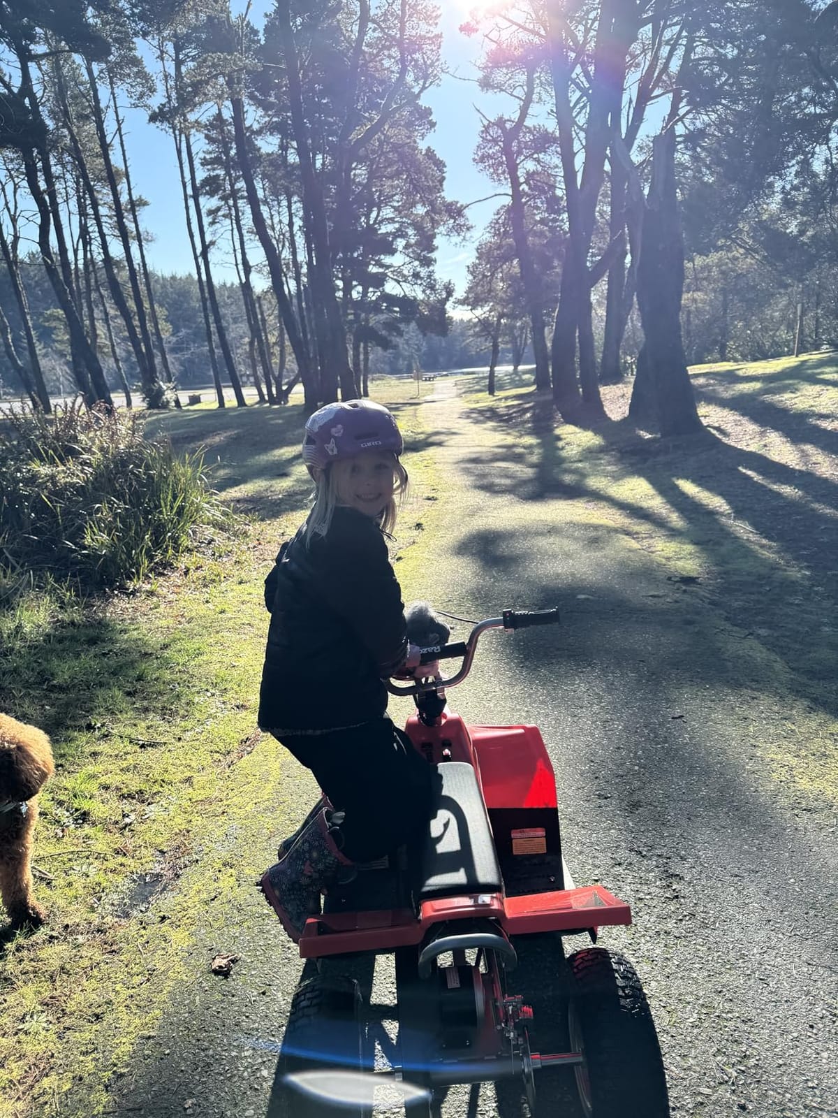 Dirt Rocket Dirt Quad eBike | Electric 4-Wheeler customer photo 1