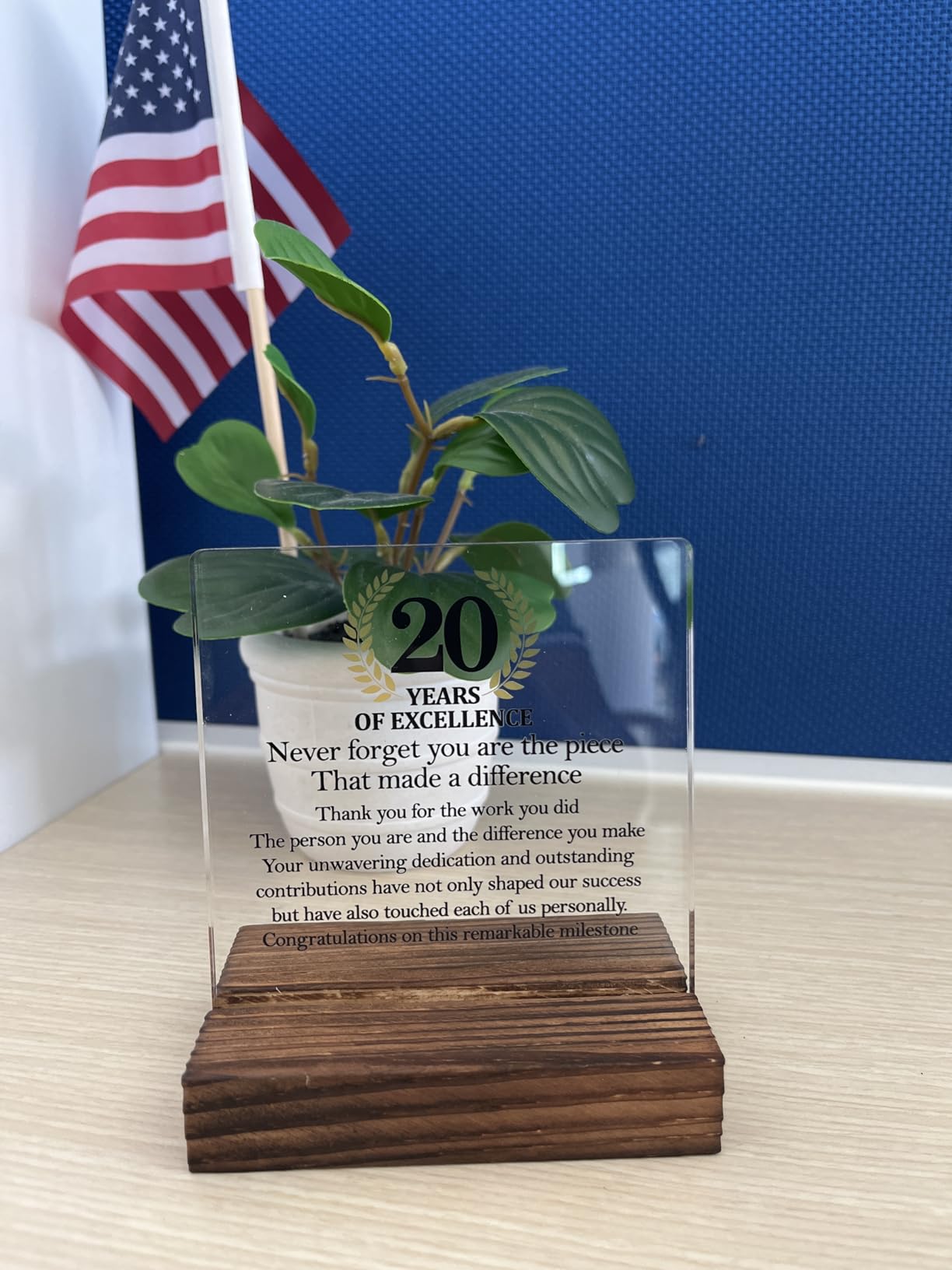 Congratulations 1 Year Work Anniversary Acrylic Sign with Wooden Stand, Employee Appreciation Gifts, 1 Year Of Service Plaque for Staff, 1th Work Anniversary Plaque Gifts for Employee A customer photo 1