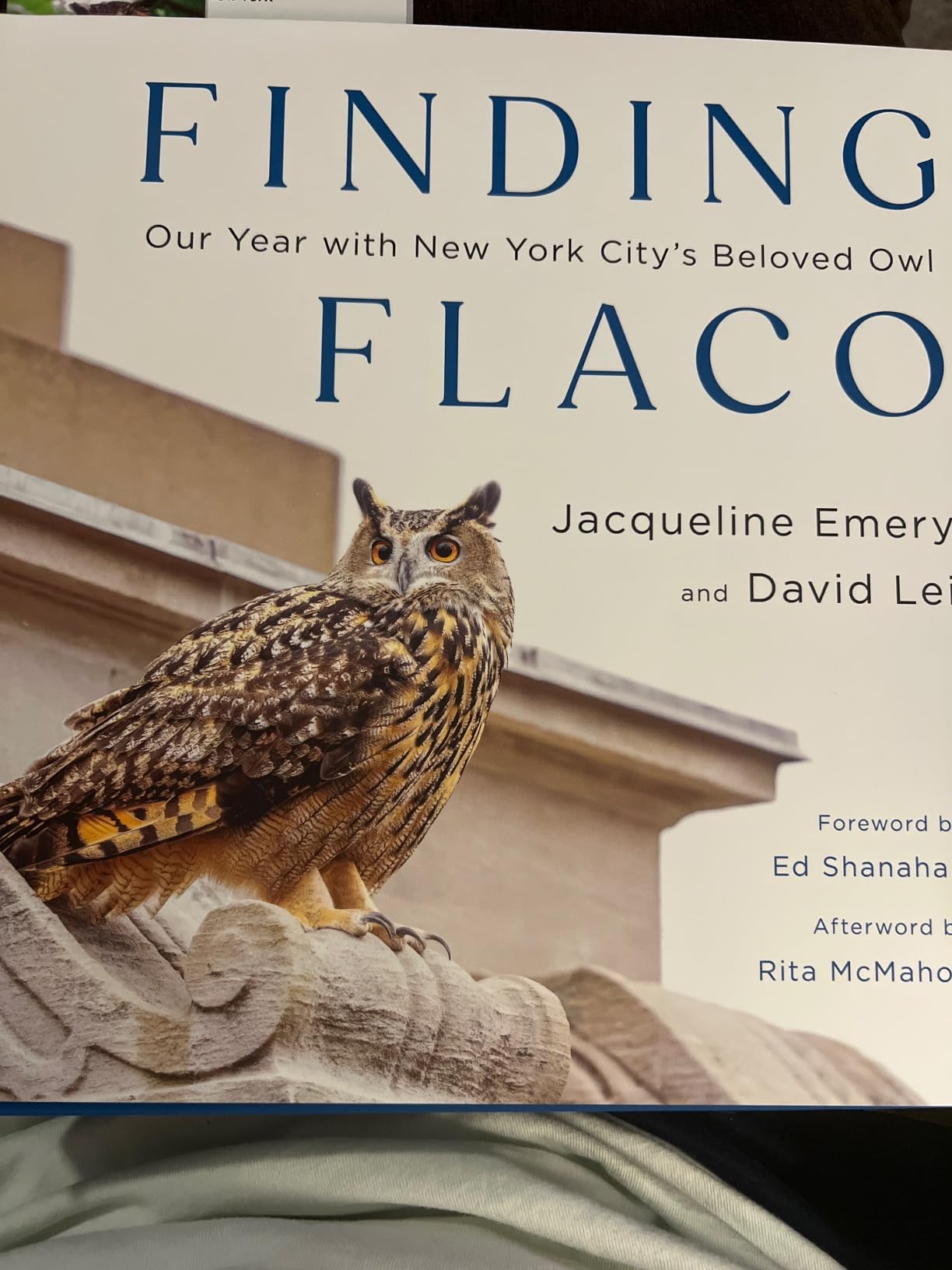 Finding Flaco: Our Year with New York City's Beloved Owl customer photo 1