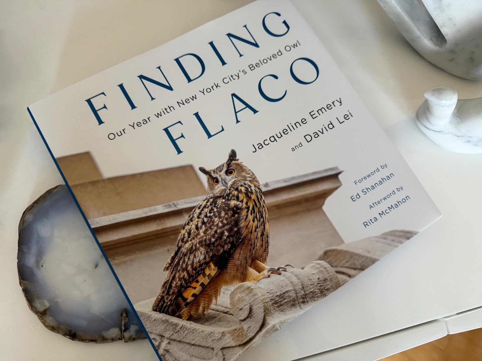 Finding Flaco: Our Year with New York City's Beloved Owl customer photo 2