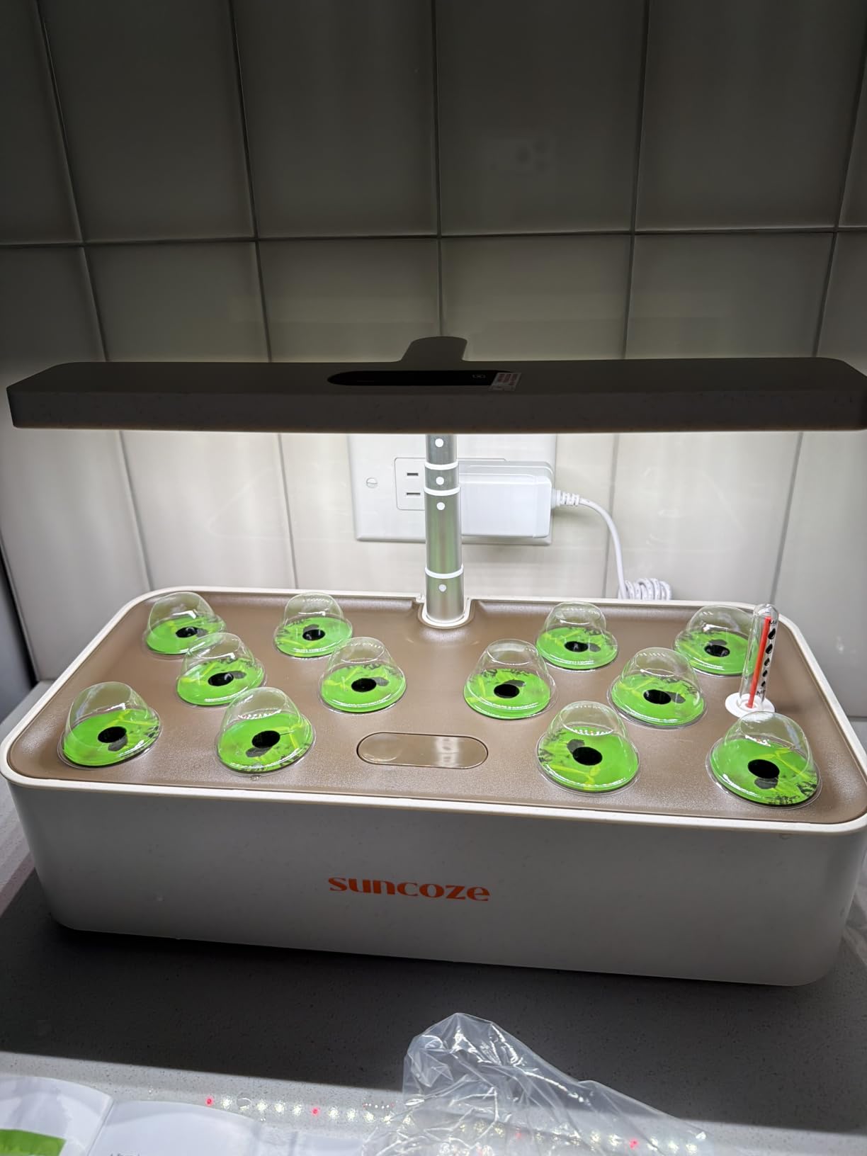 SUNCOZE Hydroponics Growing System, Compact 12 Pods Indoor Garden, Black customer photo 1