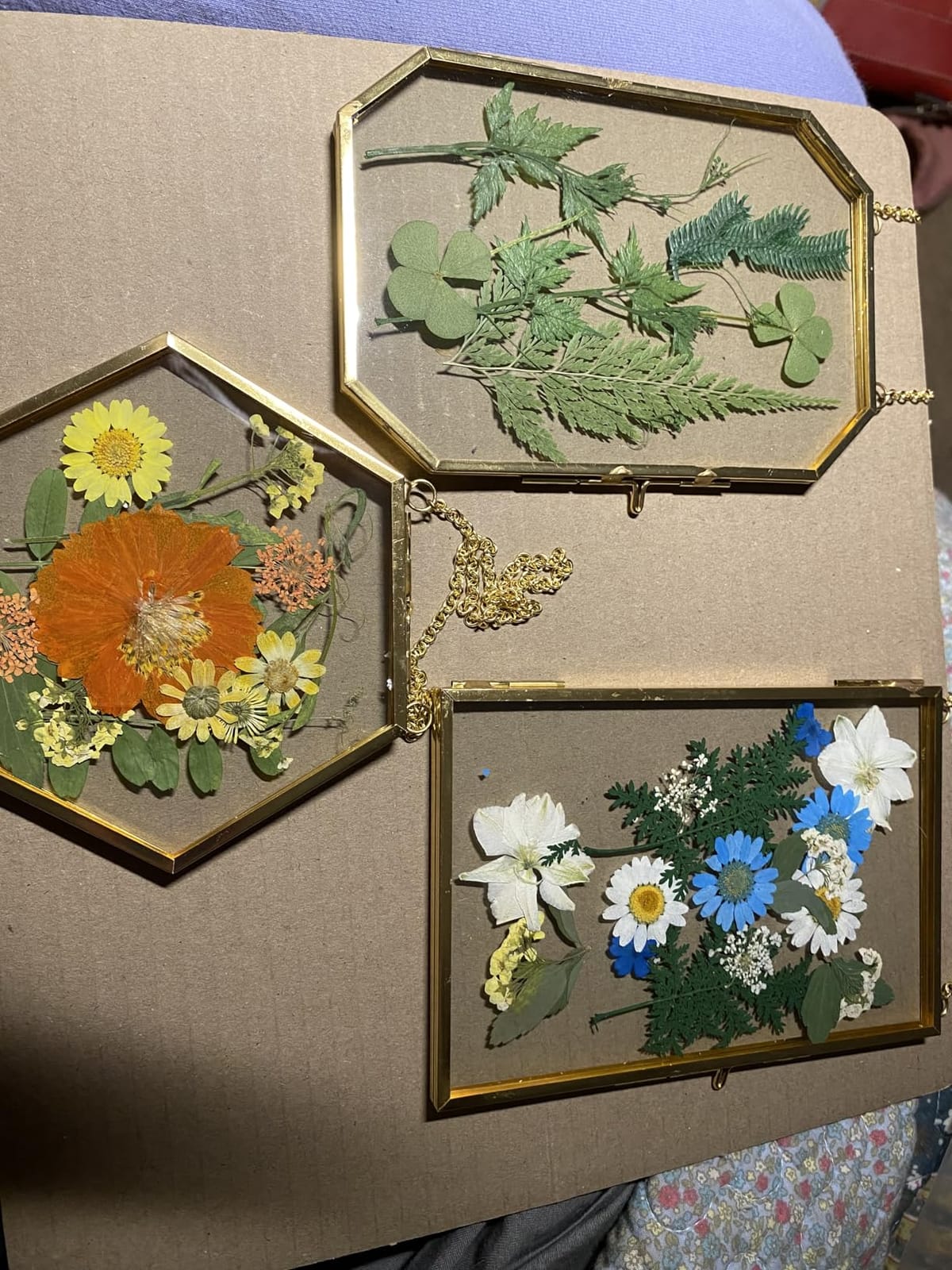 IcosaMro 3 Pack Double Glass Frame for Pressed Flowers 4